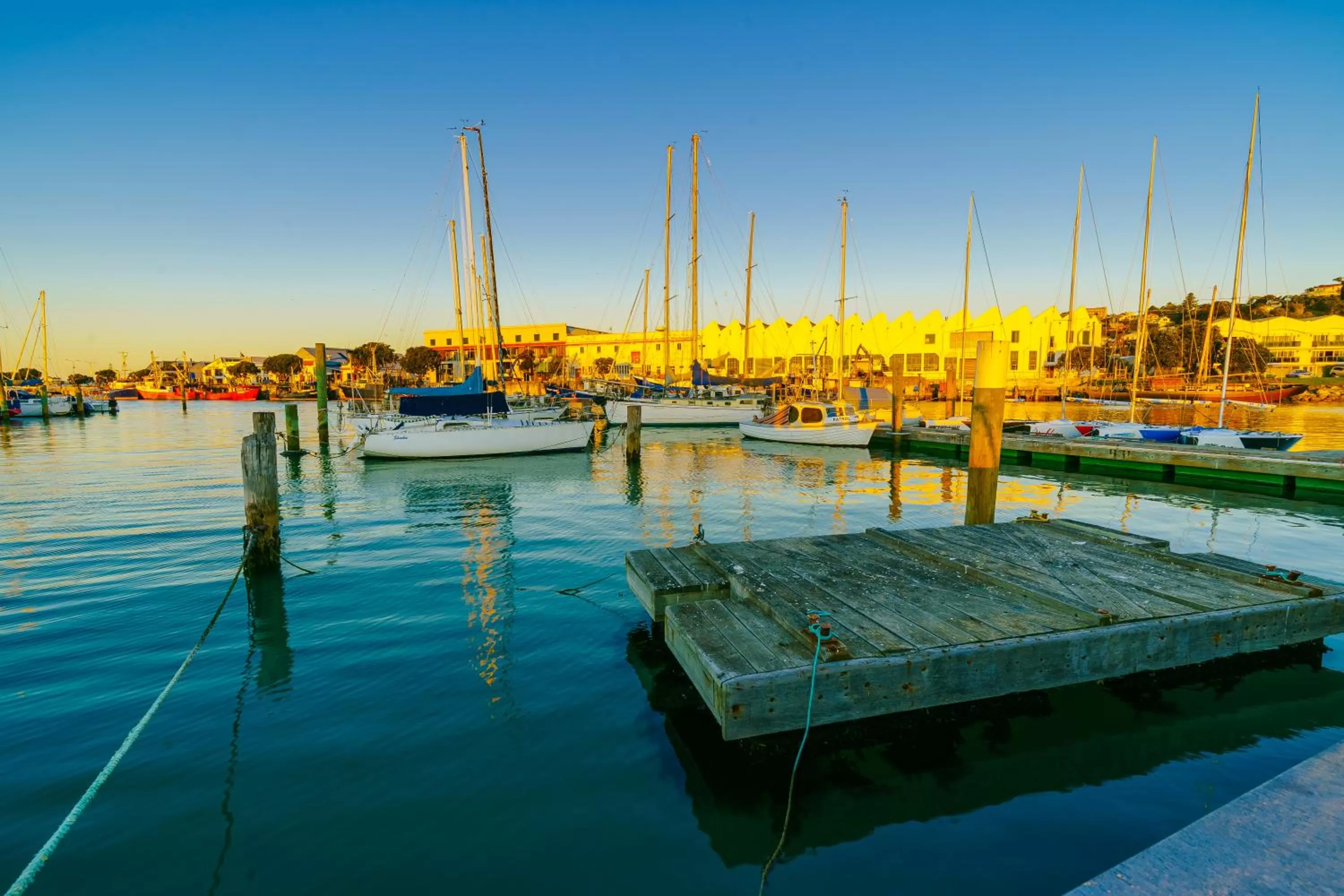 Landmark view in Anchorage Motor Lodge
