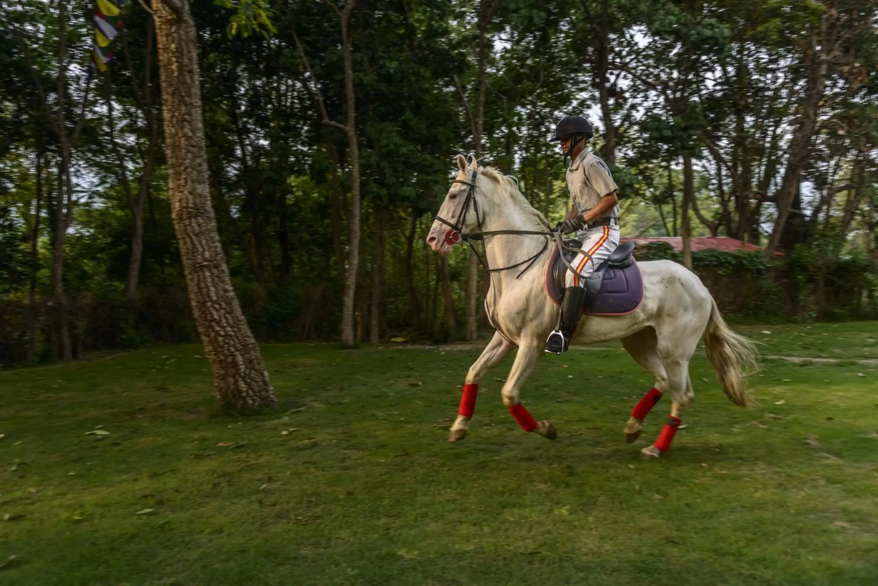 Horse-riding, Horseback Riding in Gokarna Forest Resort