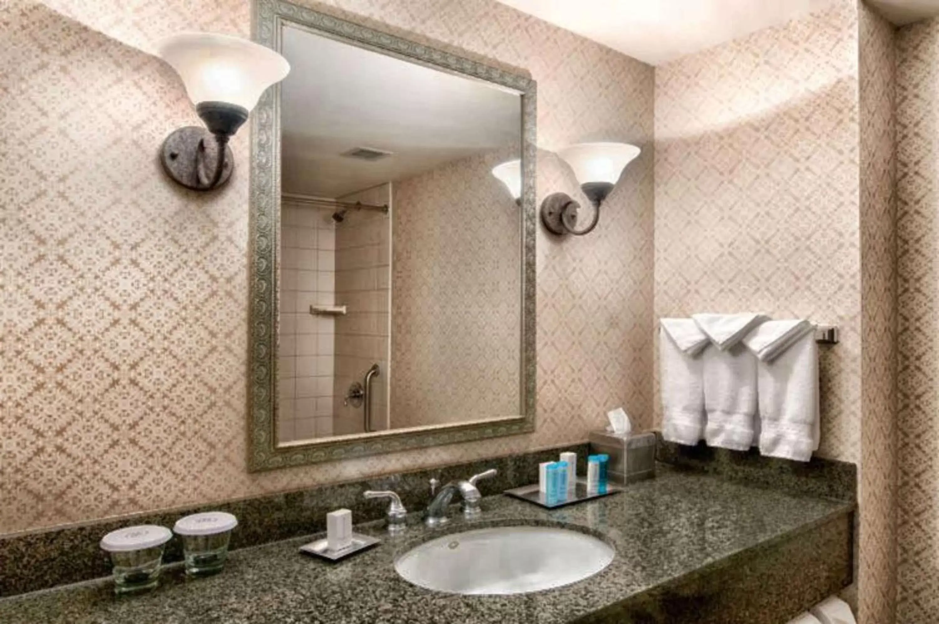 Bathroom in Hilton Scranton & Conference Center