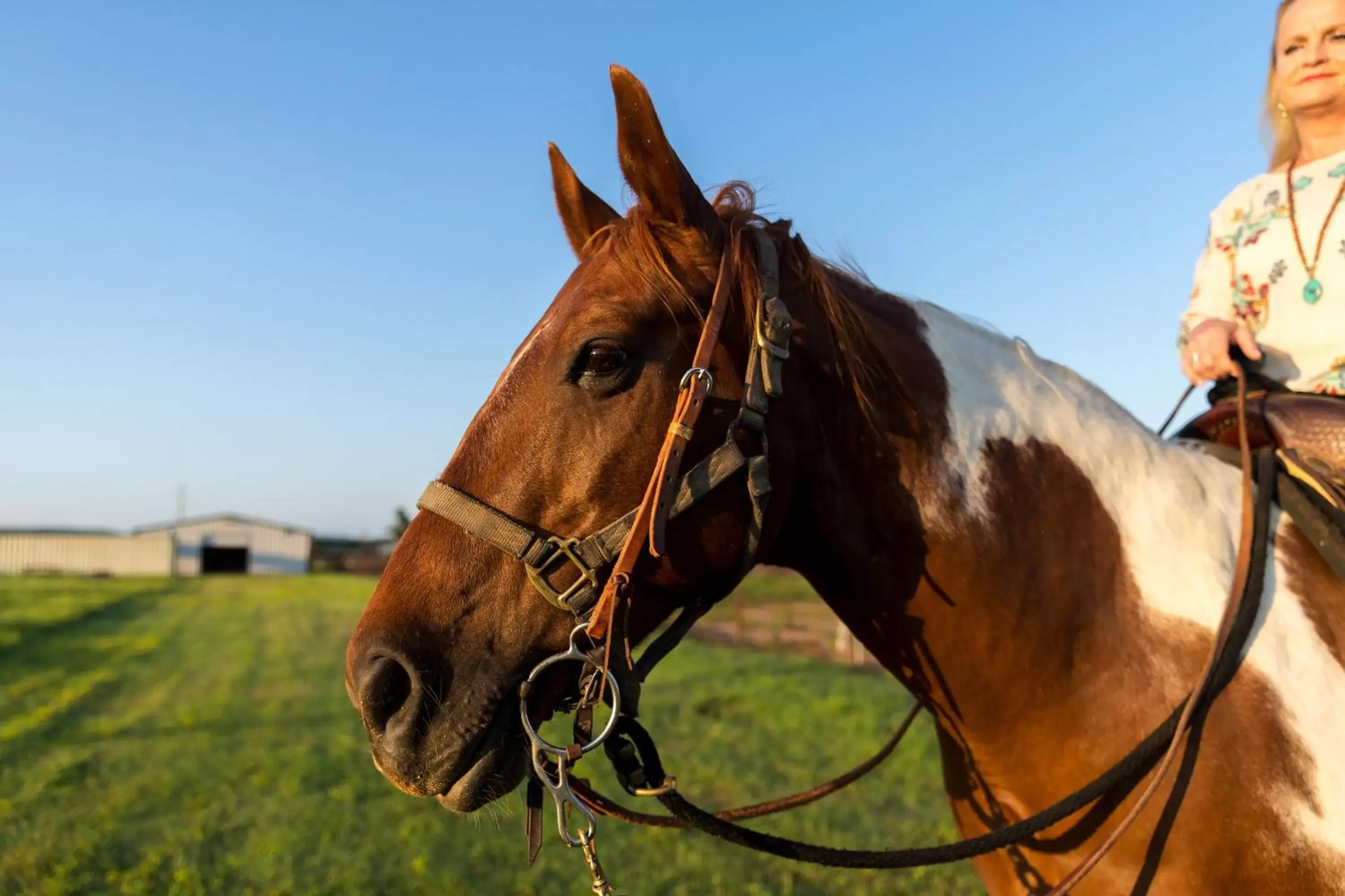 Horse-riding, Horseback Riding in Wildcatter Ranch and Resort