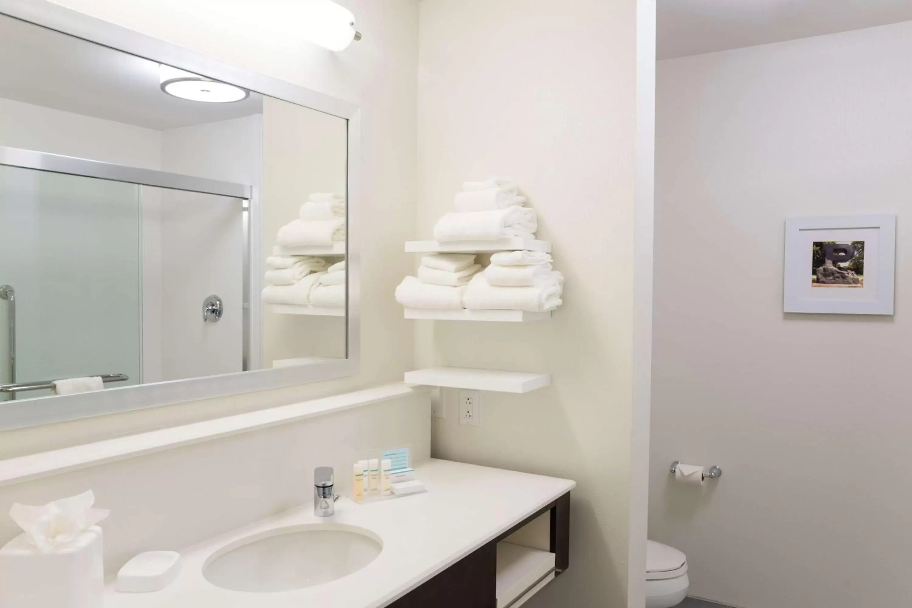 Bathroom in Hampton Inn & Suites West Lafayette, In