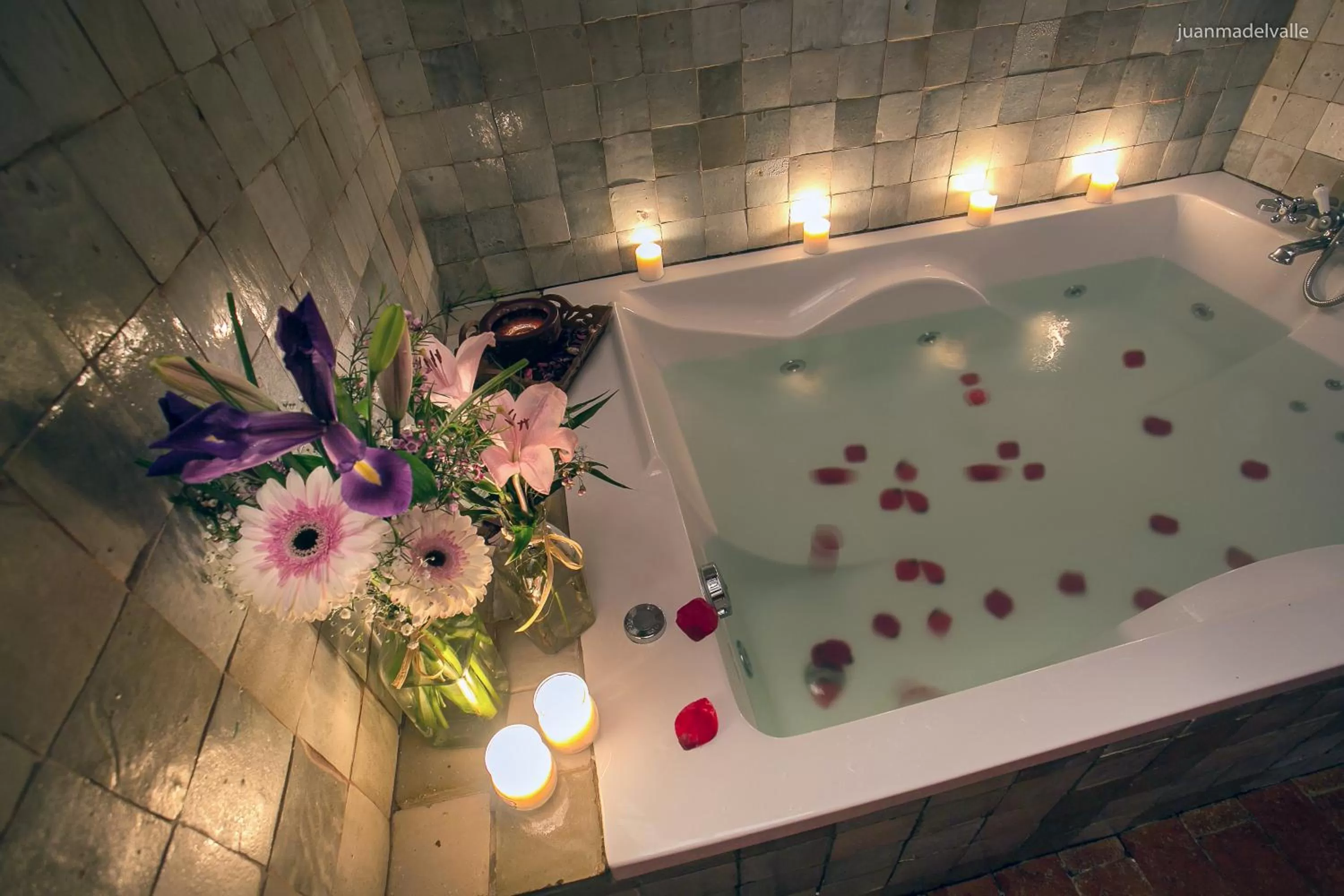 Decorative detail in Ardea Purpurea