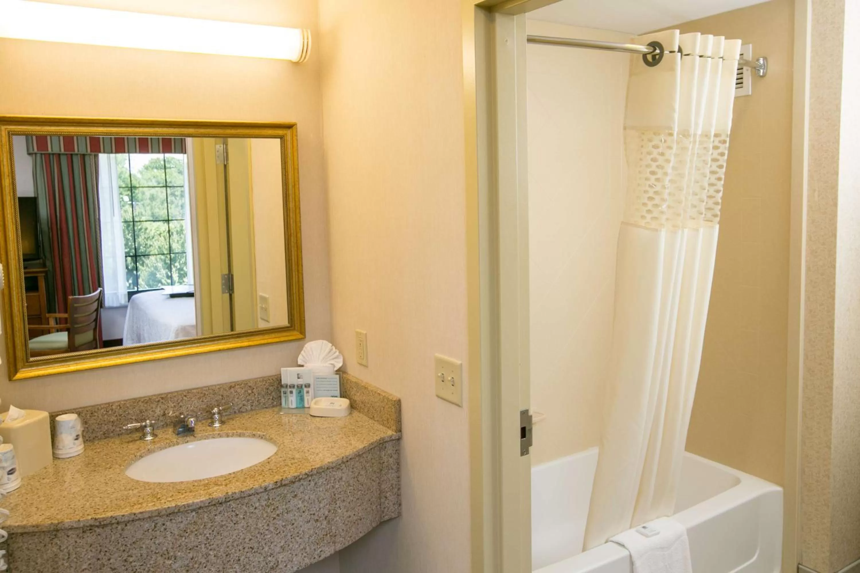 Bathroom in Hampton Inn Hadley-Amherst Area