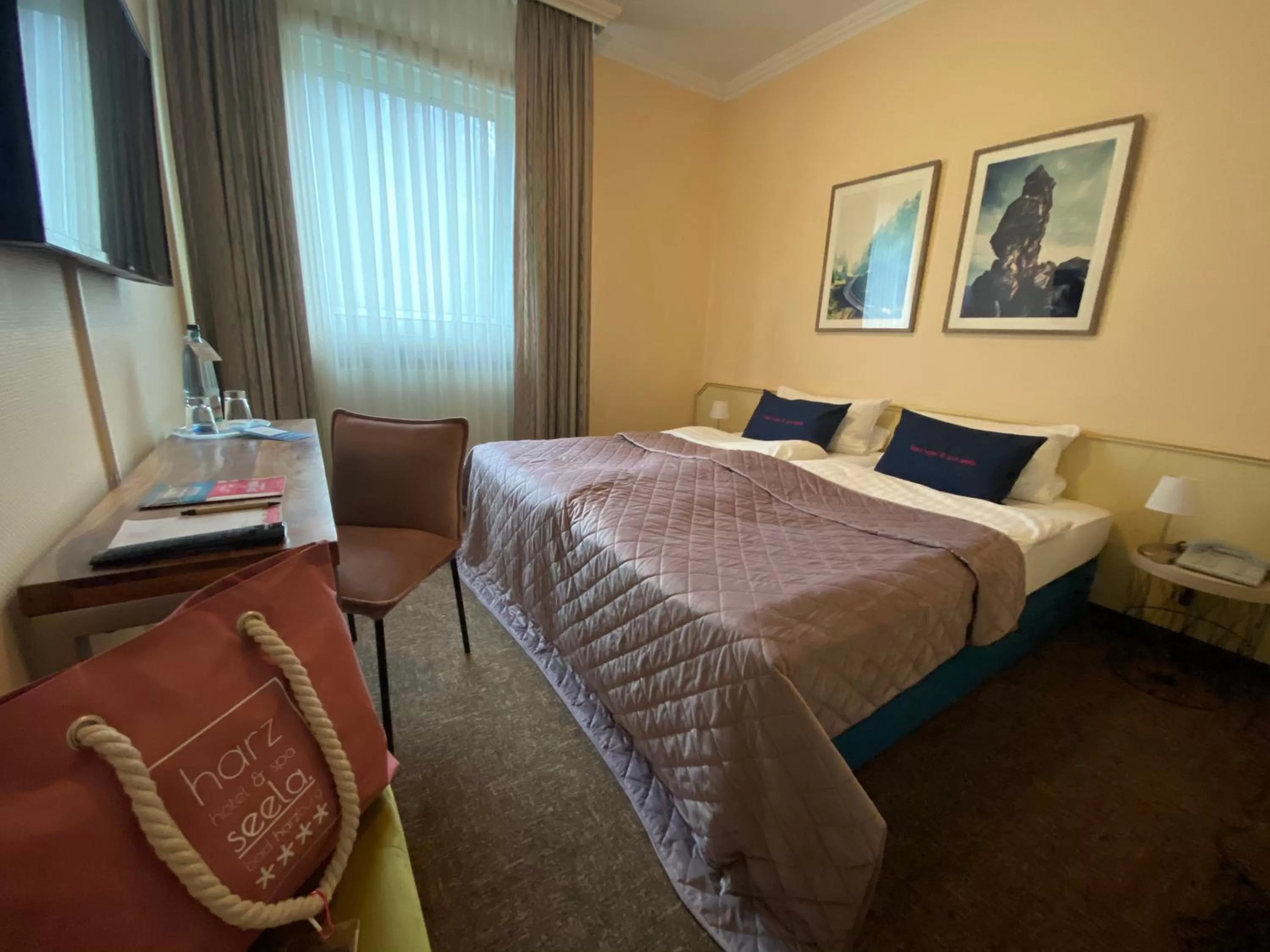 Photo of the whole room, Bed in Harz Hotel & Spa Seela