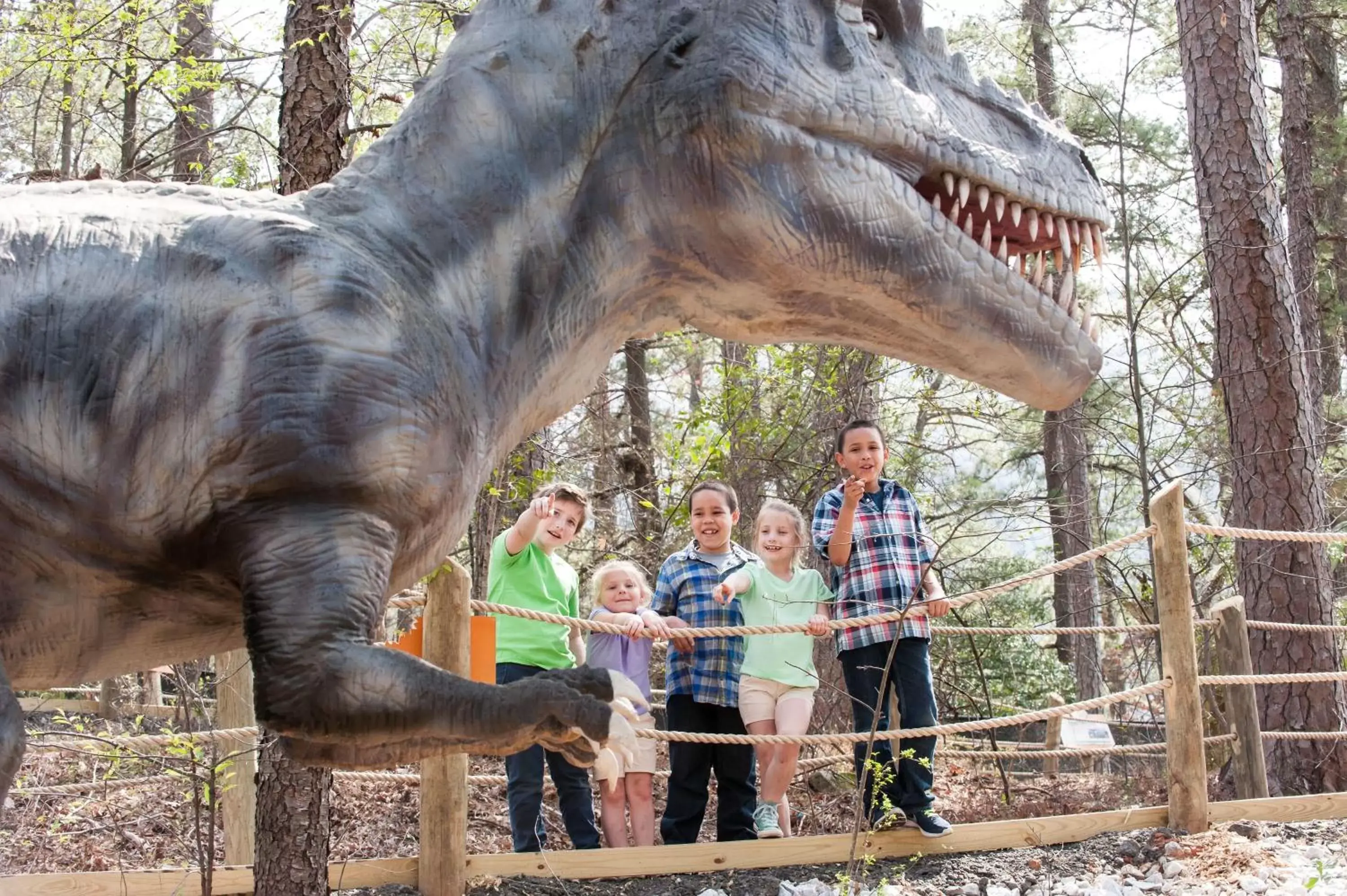 Activities, Other Animals in The Inn at Stone Mountain Park