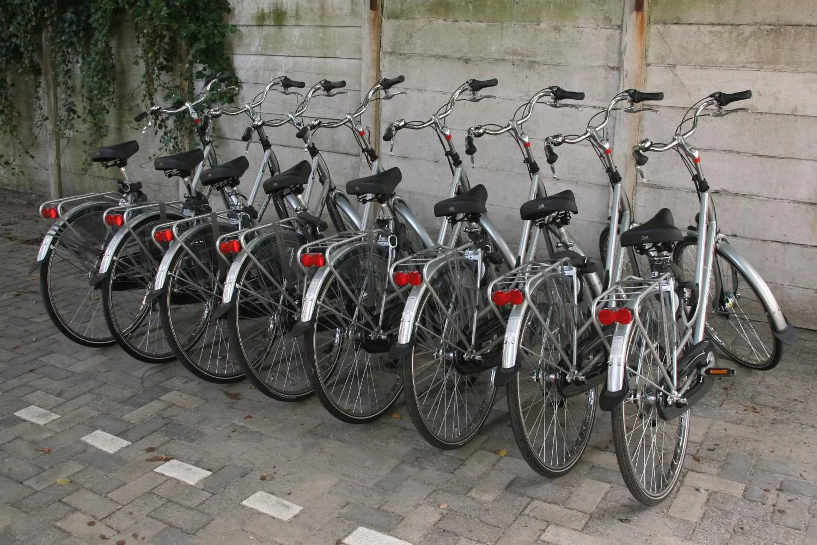 Cycling, Biking in Court Garden Hotel - Ecodesigned