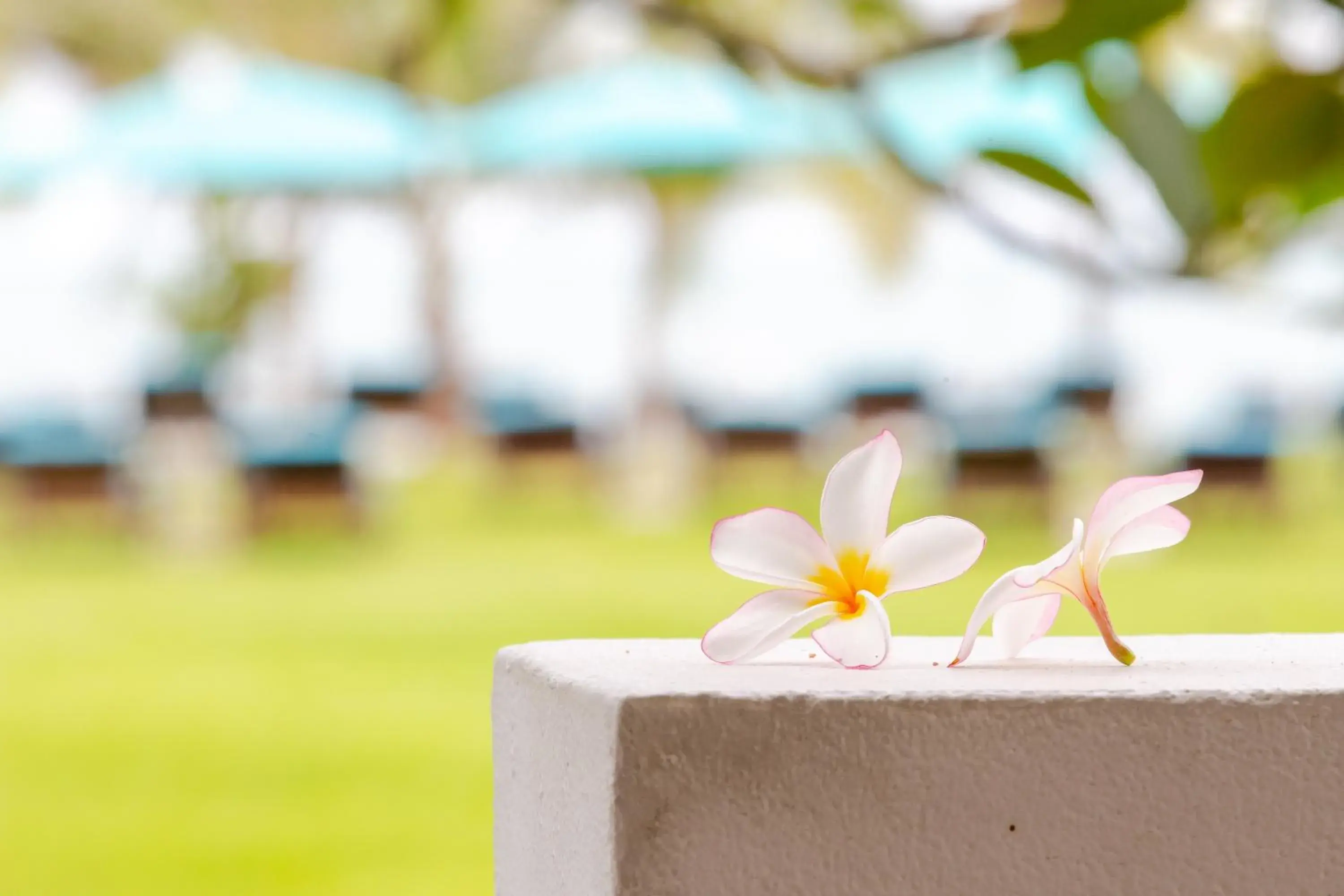 Sea view in Pinnacle Grand Jomtien Resort and Beach Club Sea view in Pinnacle Grand Jomtien Resort and Beach Club