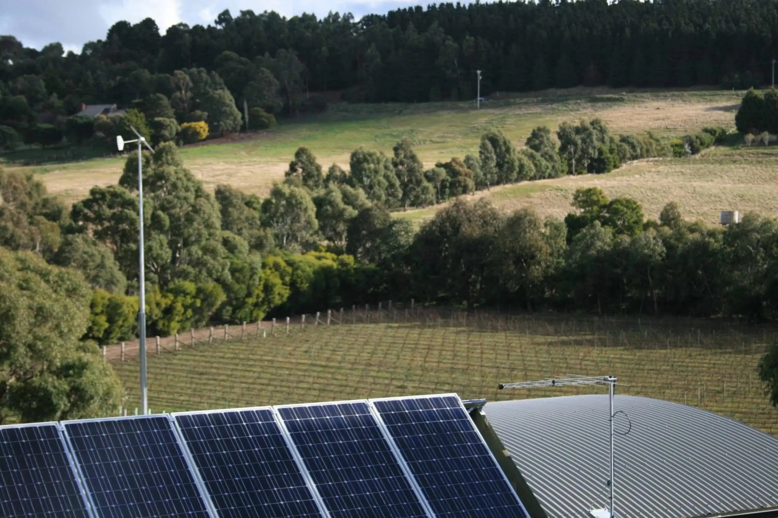 View (from property/room) in Gisborne Peak Winery Short Term Stays View (from property/room) in Gisborne Peak Winery Short Term Stays