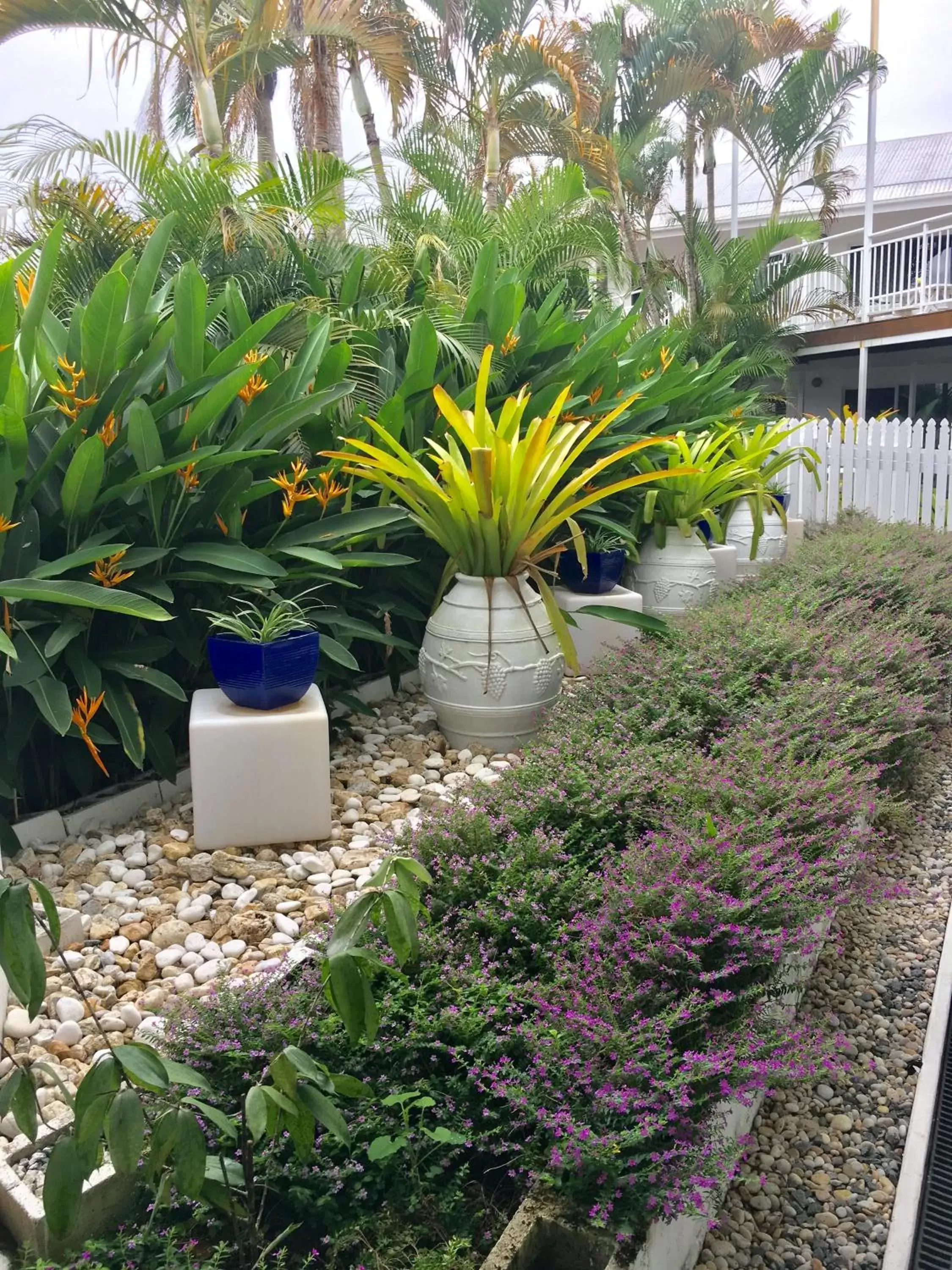 Garden in South Cairns Resort