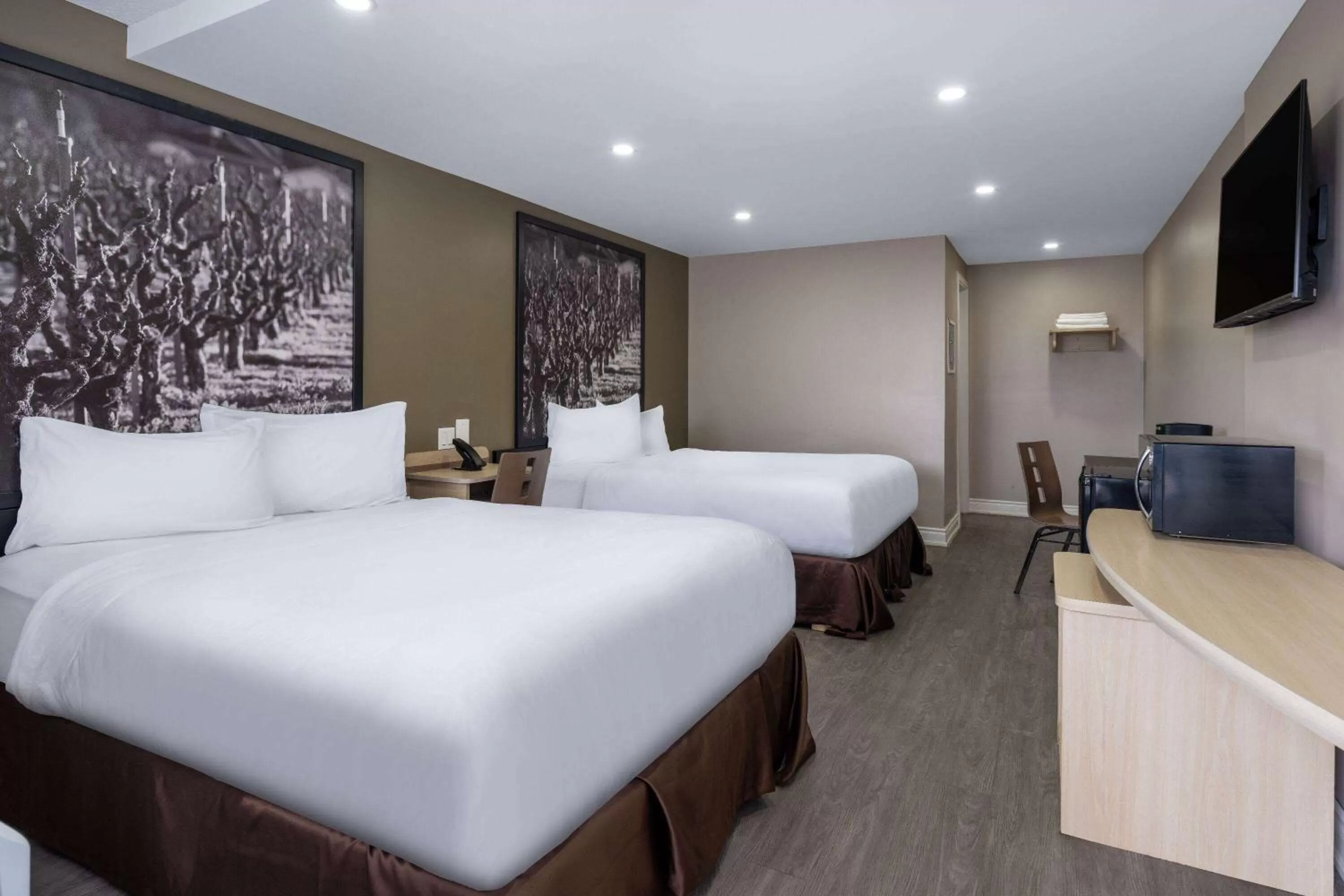 Photo of the whole room in Super 8 by Wyndham Niagara Falls ON