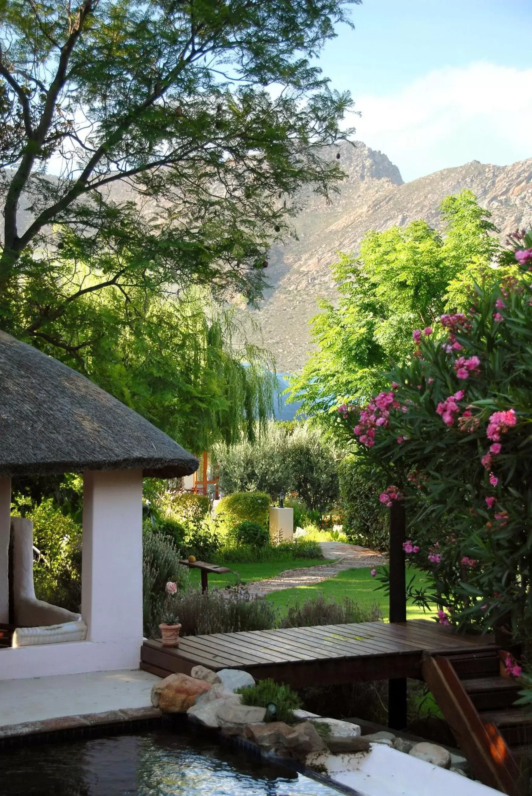 Garden in Mimosa Lodge