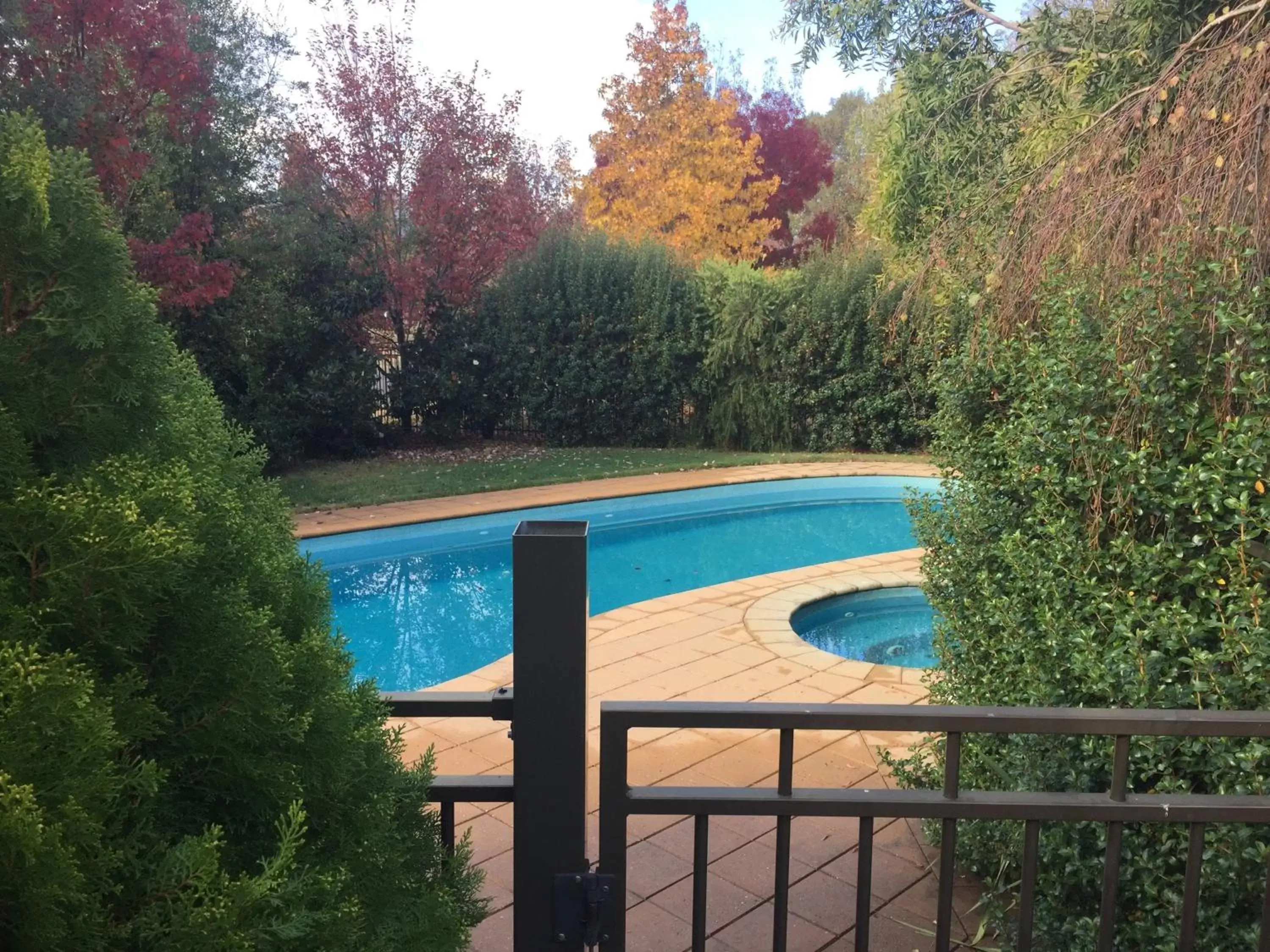 Swimming Pool in Bright on Track