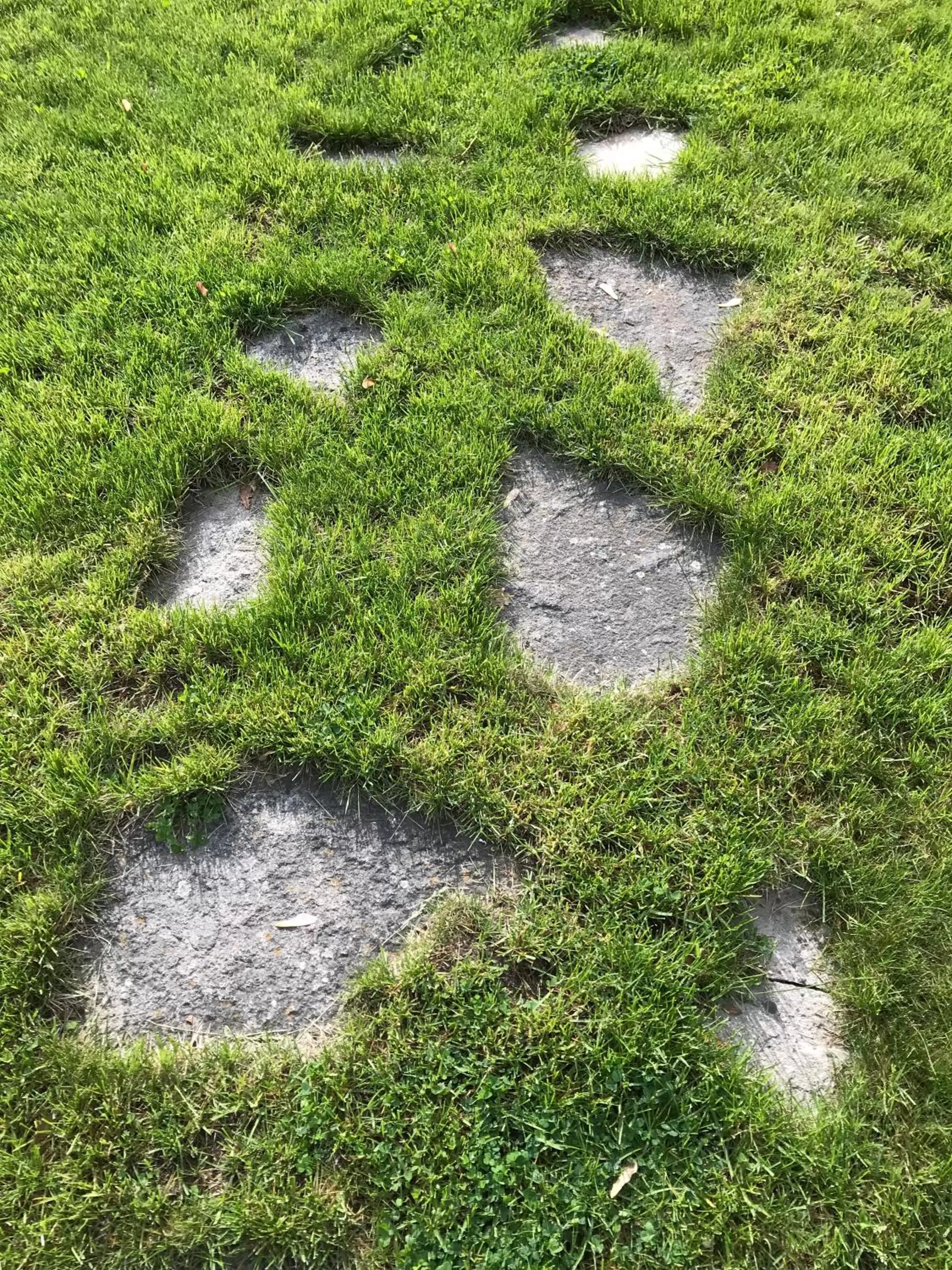 Patio in Stirling House