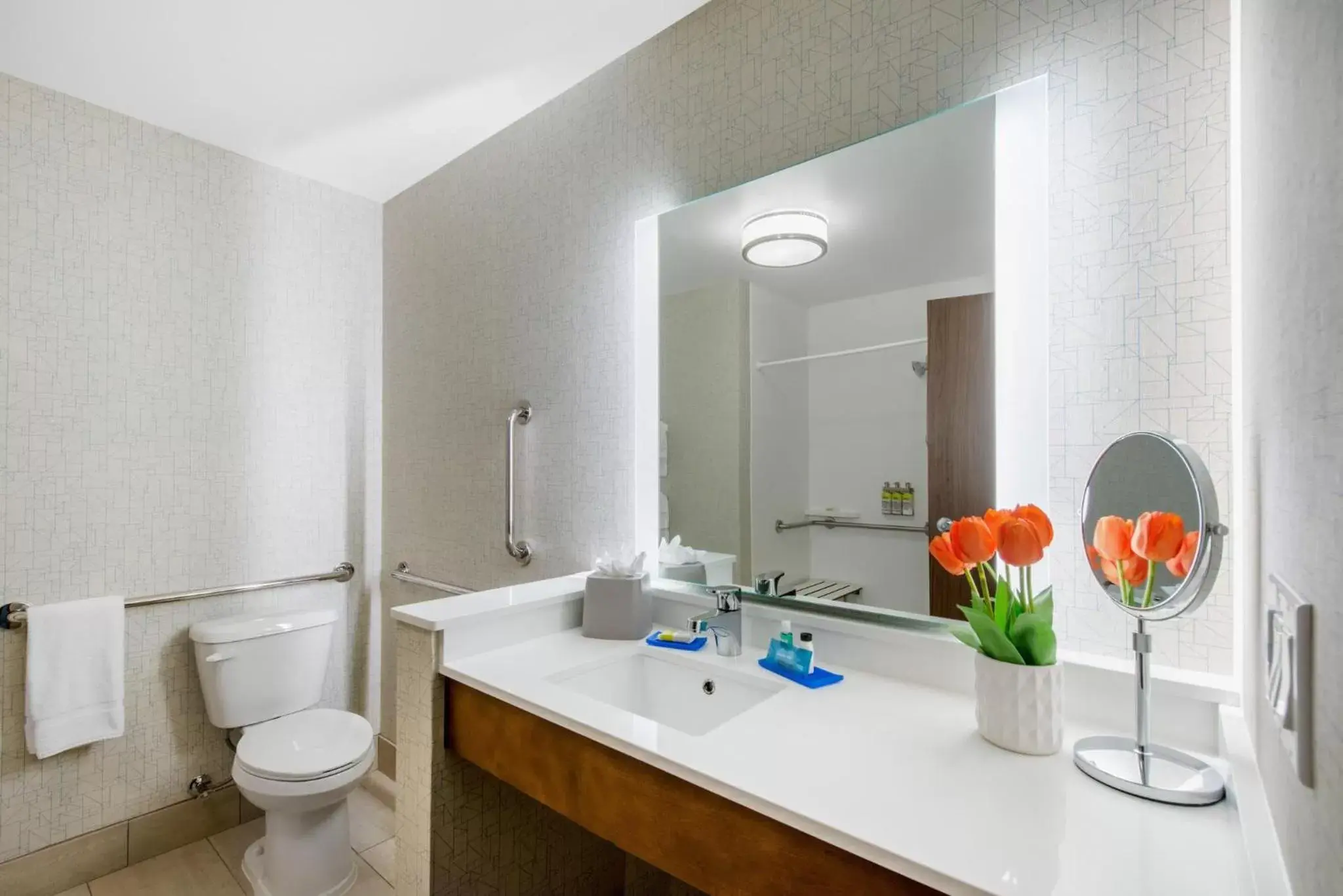 Photo of the whole room, Bathroom in Holiday Inn Express & Suites - Ruskin, an IHG Hotel