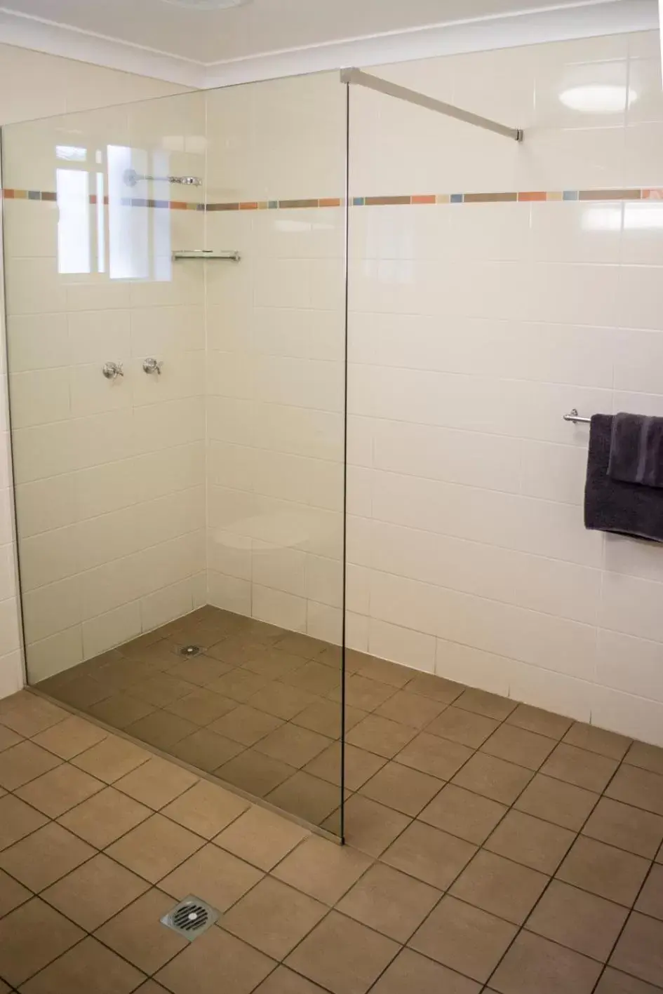 Shower, Bathroom in Highway Inn Motel