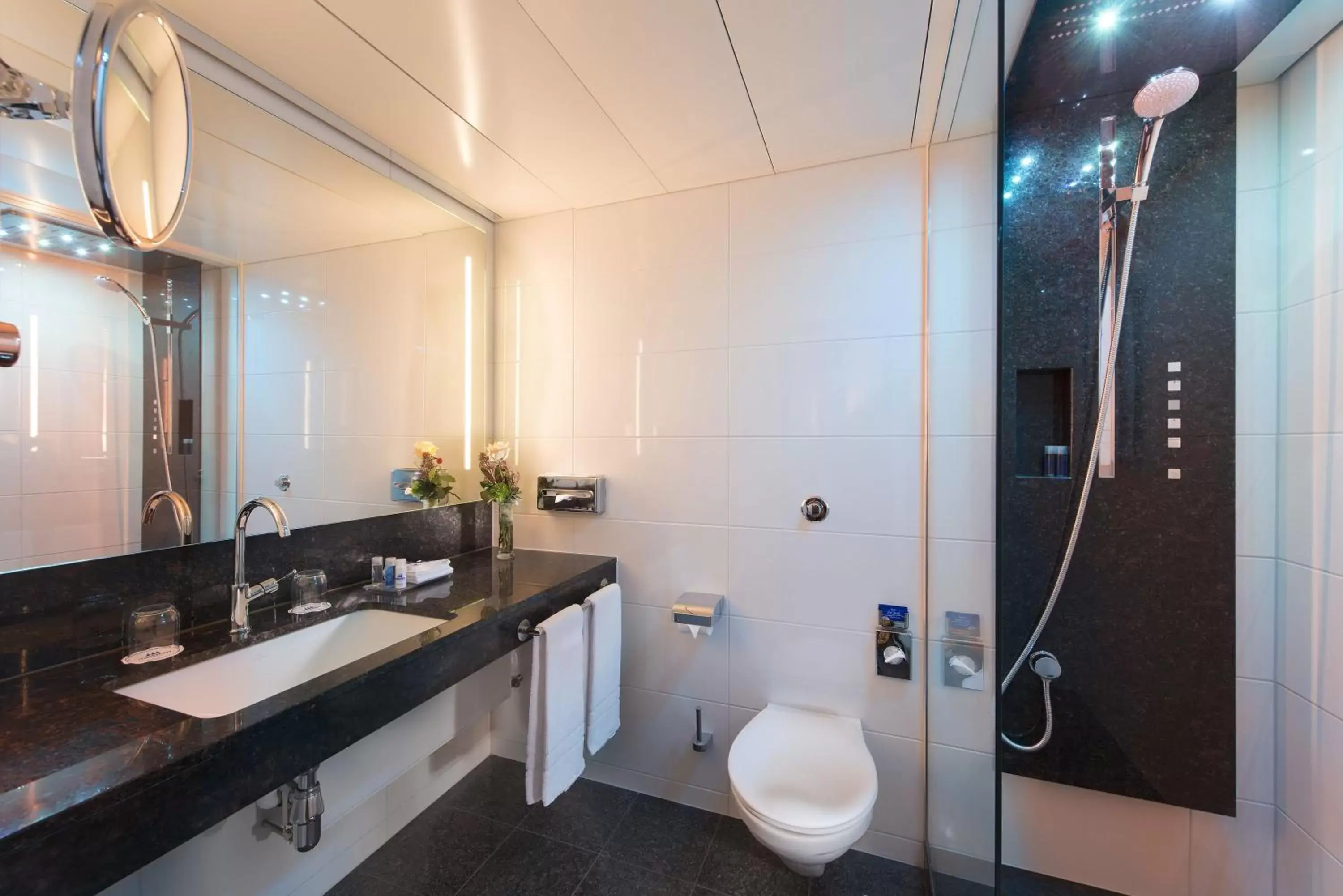 Shower, Bathroom in Maritim Hotel Stuttgart