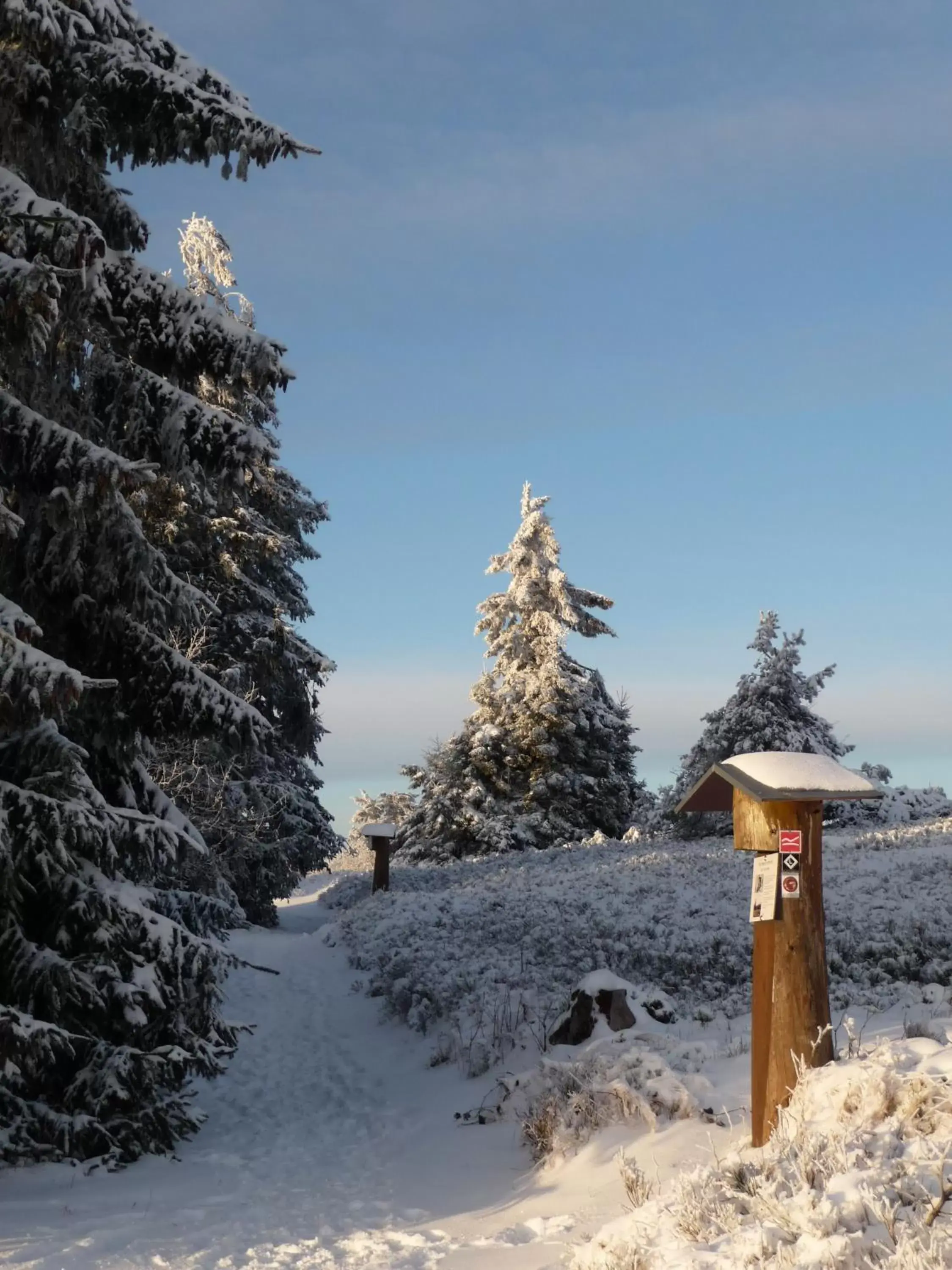 Natural landscape, Winter in Berghotel Hoher Knochen
