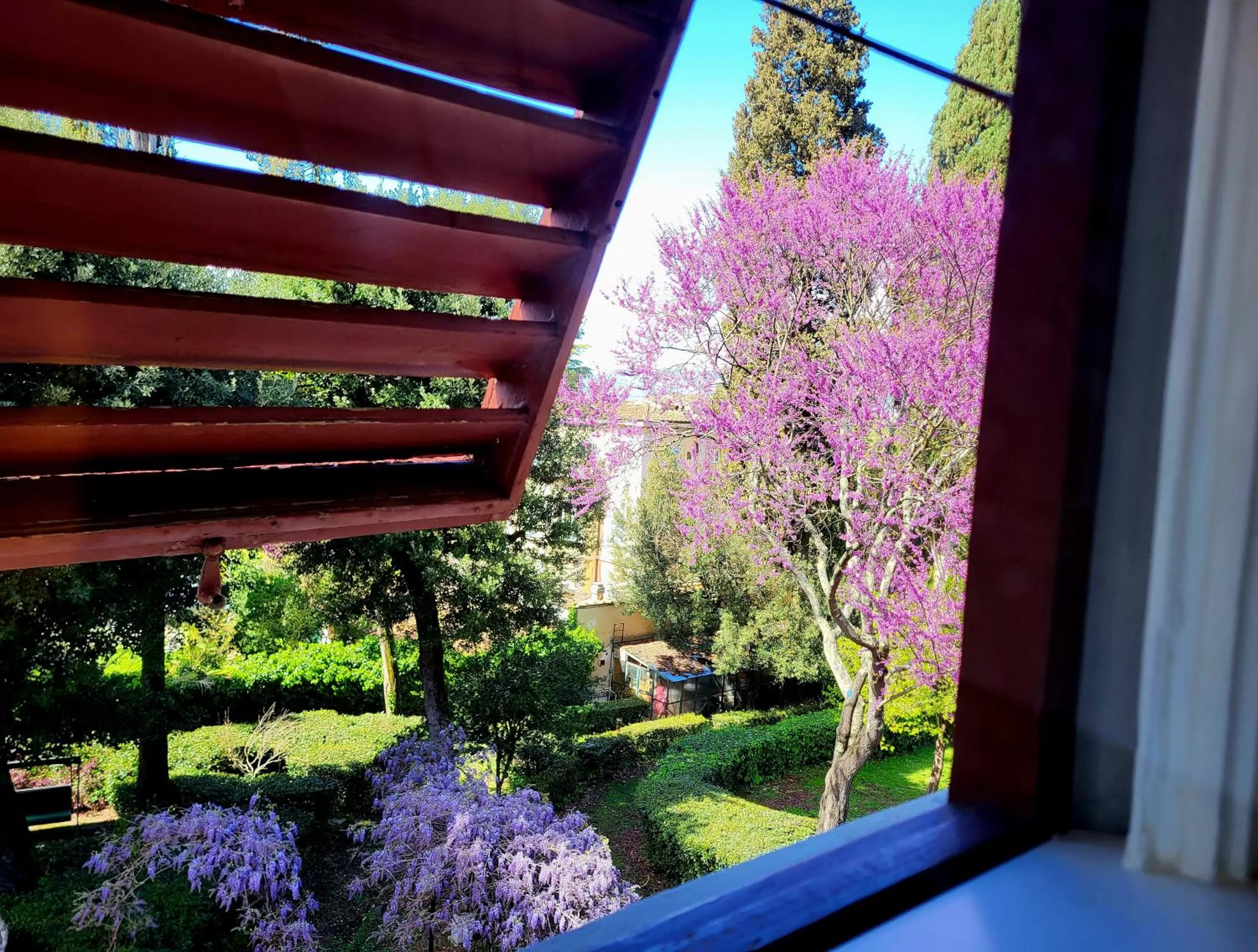 View (from property/room) in Villa Nardi - Residenza D'Epoca