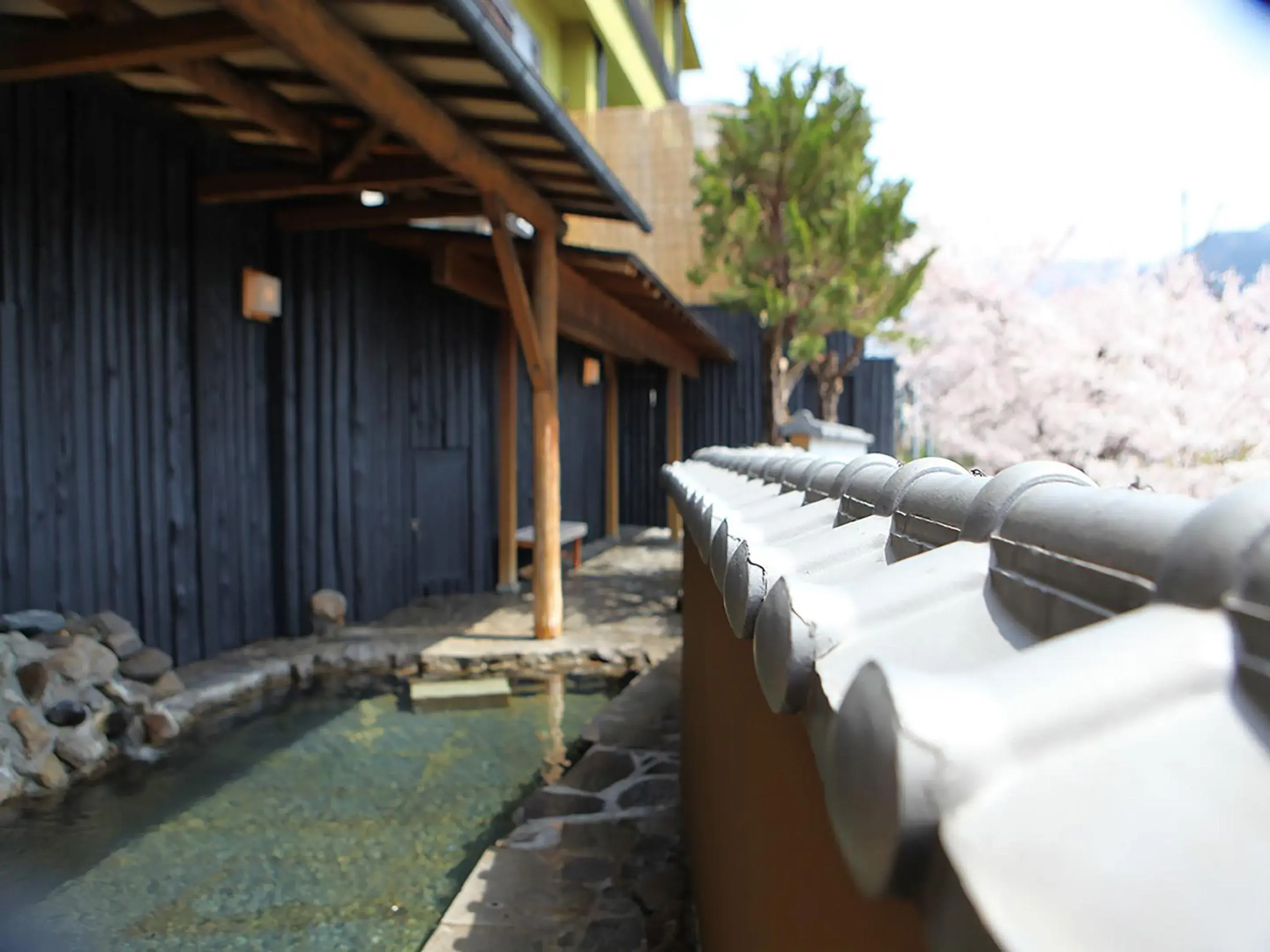 Hot Spring Bath in Ryokan Biyunoyado