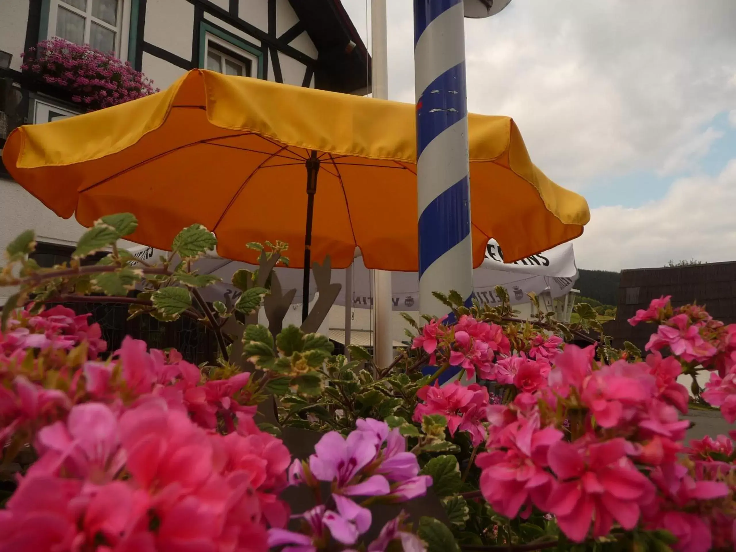 Double Room with Balcony in Hotel "Woiler Hof" garni Double Room with Balcony in Hotel "Woiler Hof" garni