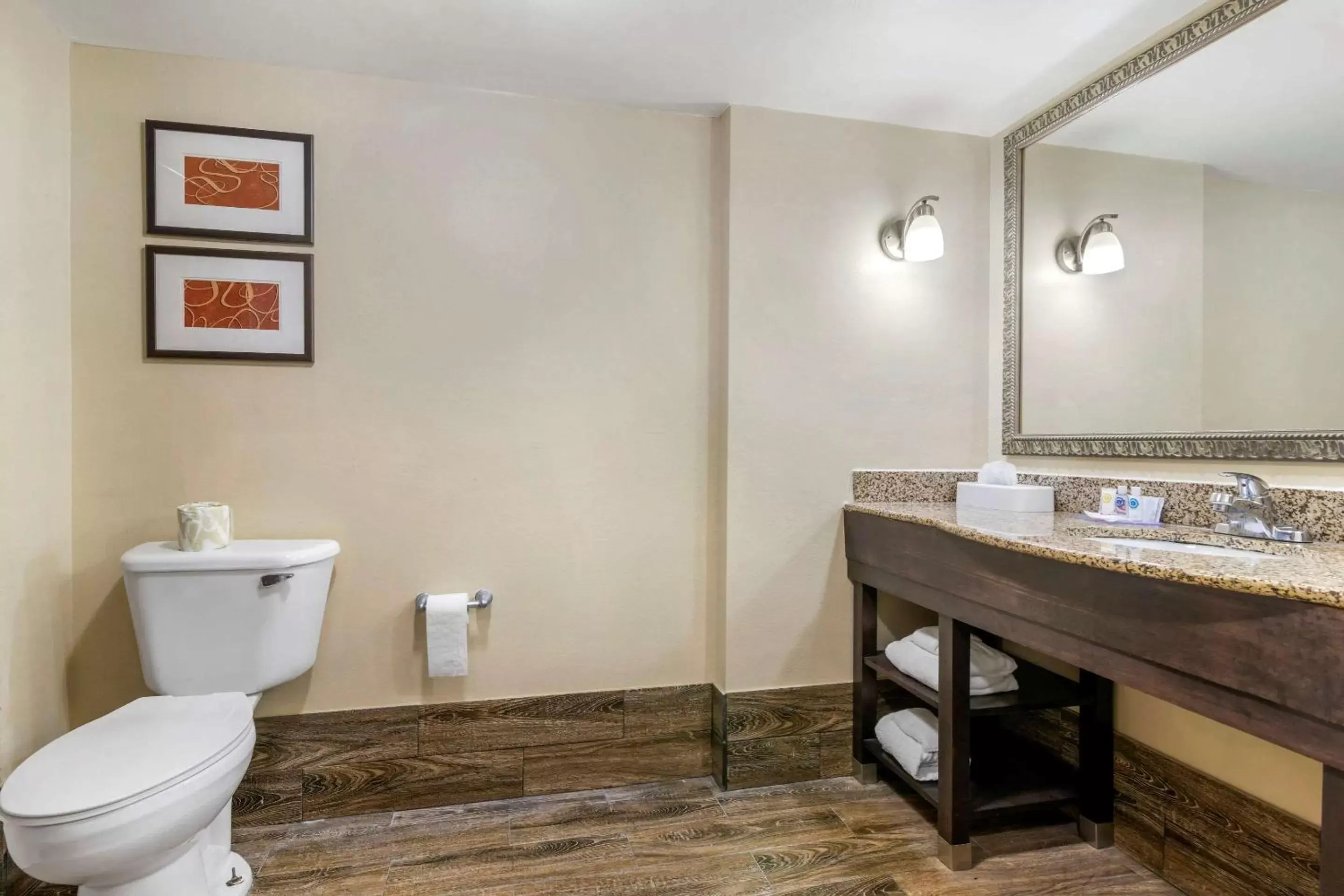 Bathroom in Comfort Suites near MCAS Beaufort