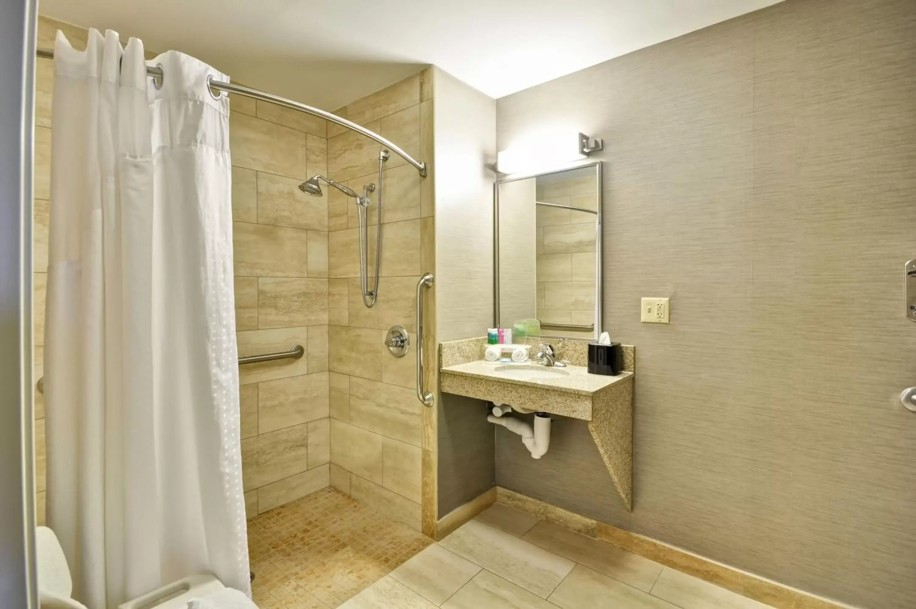 Bathroom in Holiday Inn Express Romulus / Detroit Airport, an IHG Hotel