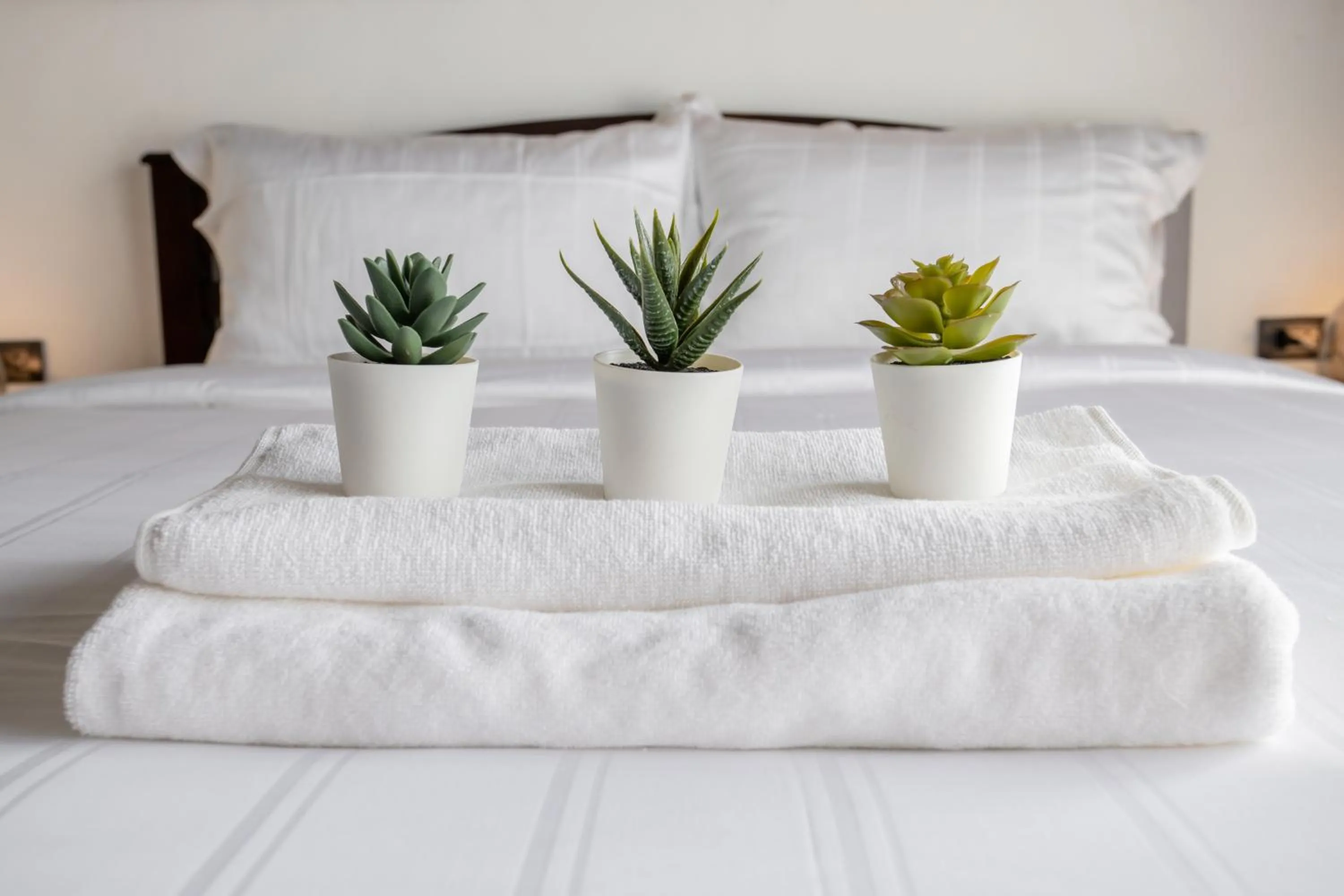 Bedroom, Bed in My Loft Hotel SHA