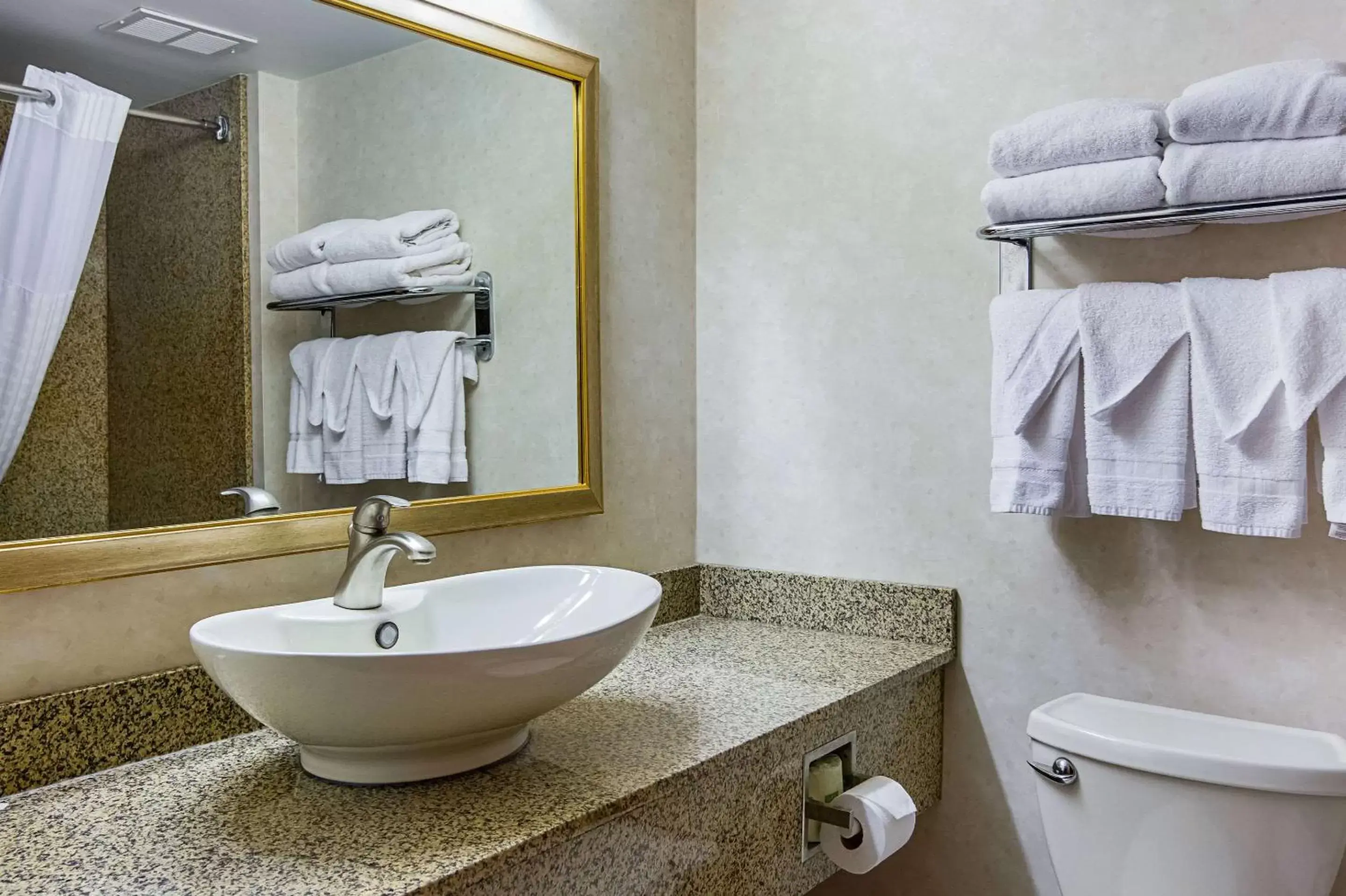 Bathroom in Comfort Inn Herndon-Reston