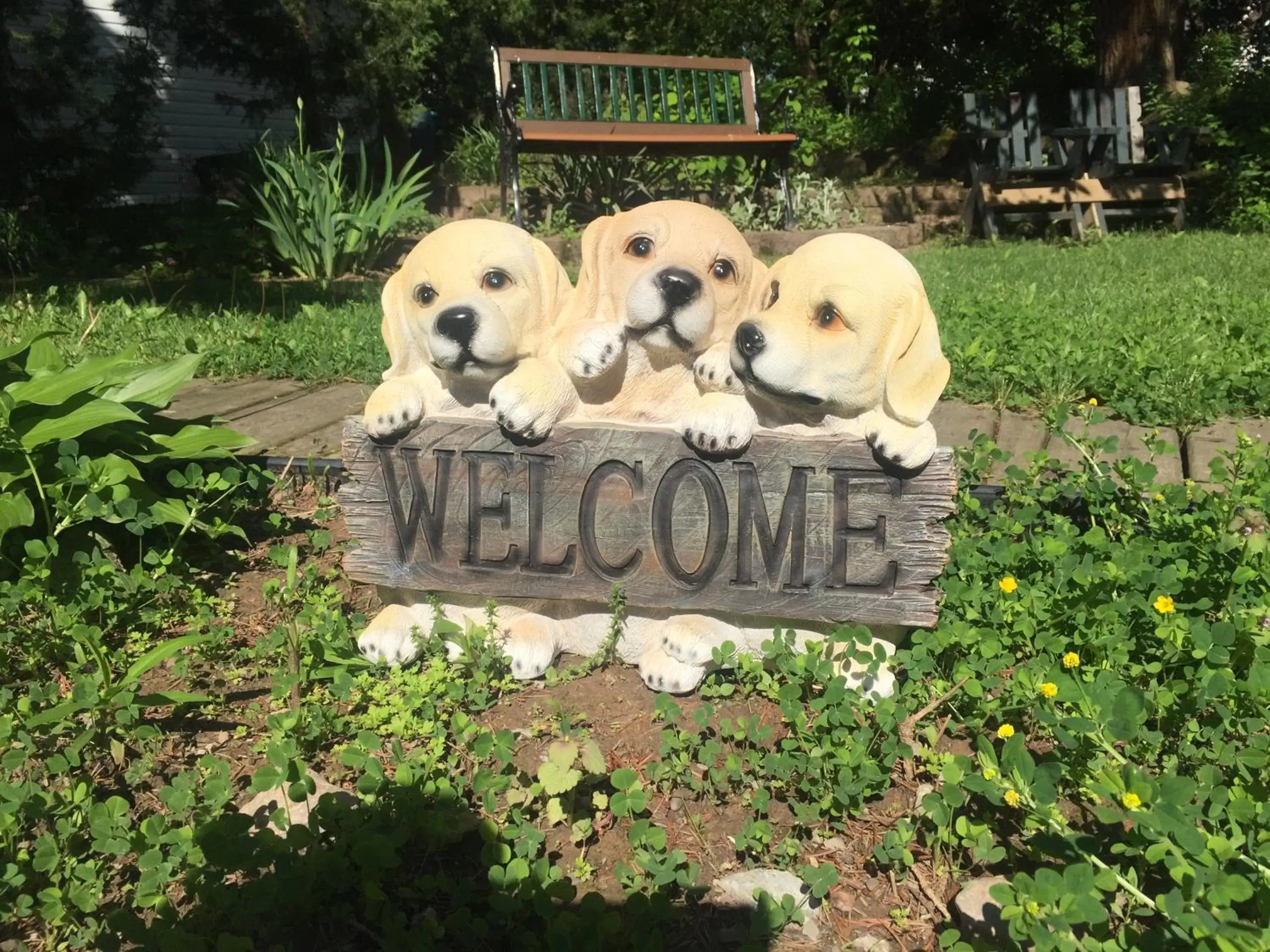 Garden view, Pets in Susan's Villa