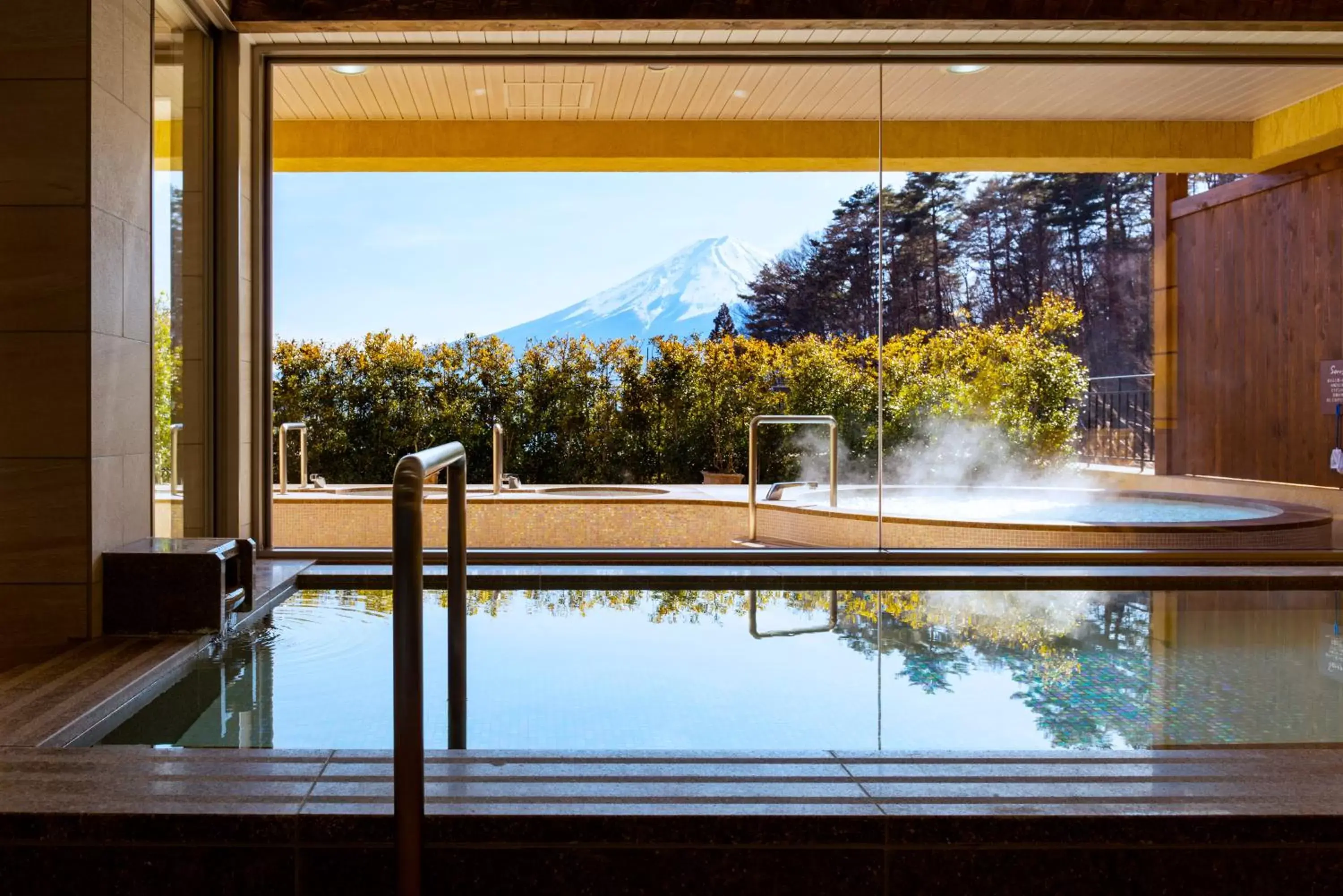 Hot Spring Bath, Swimming Pool in La Vista Fujikawaguchiko
