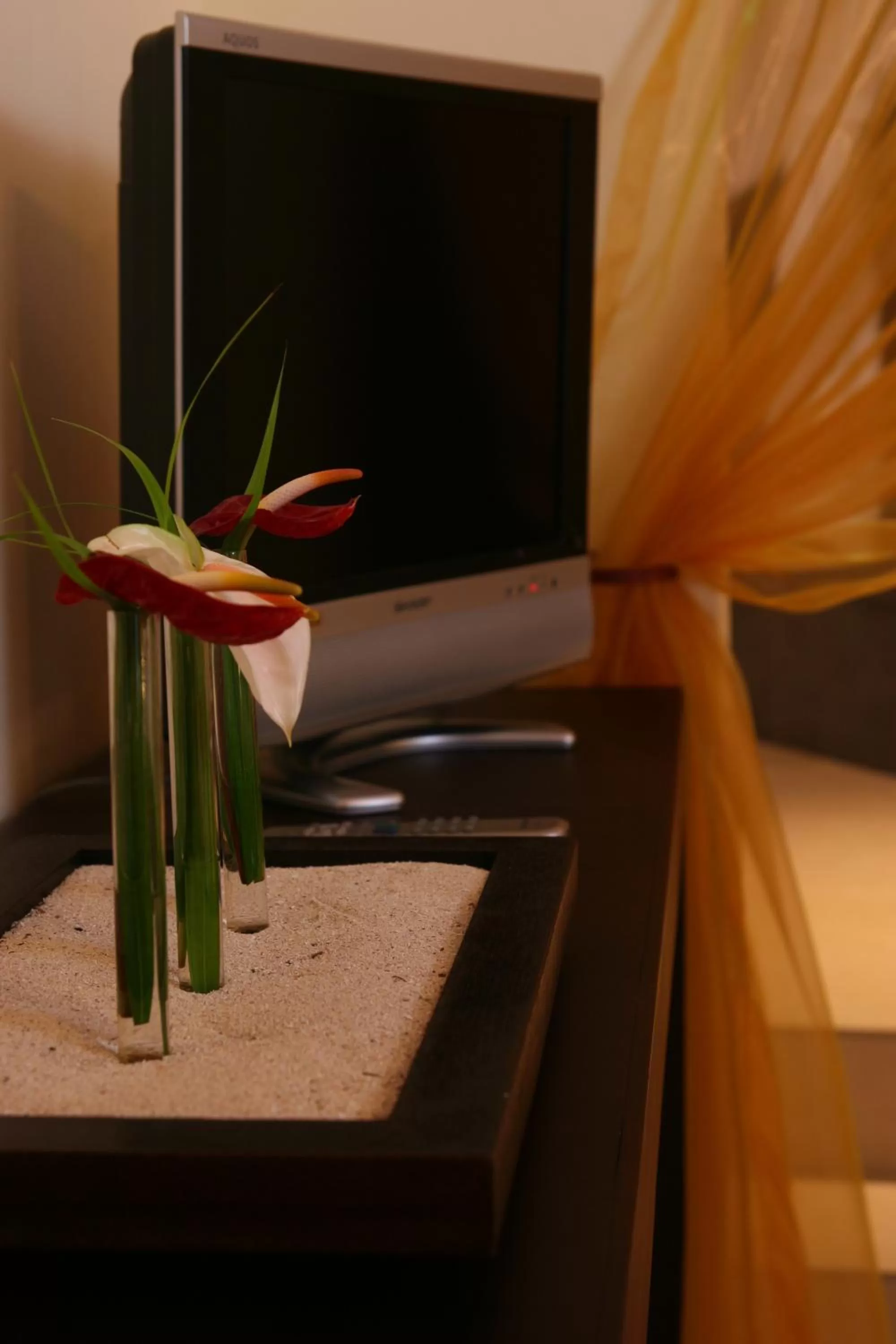 TV and multimedia in Ocean Villas Hotel