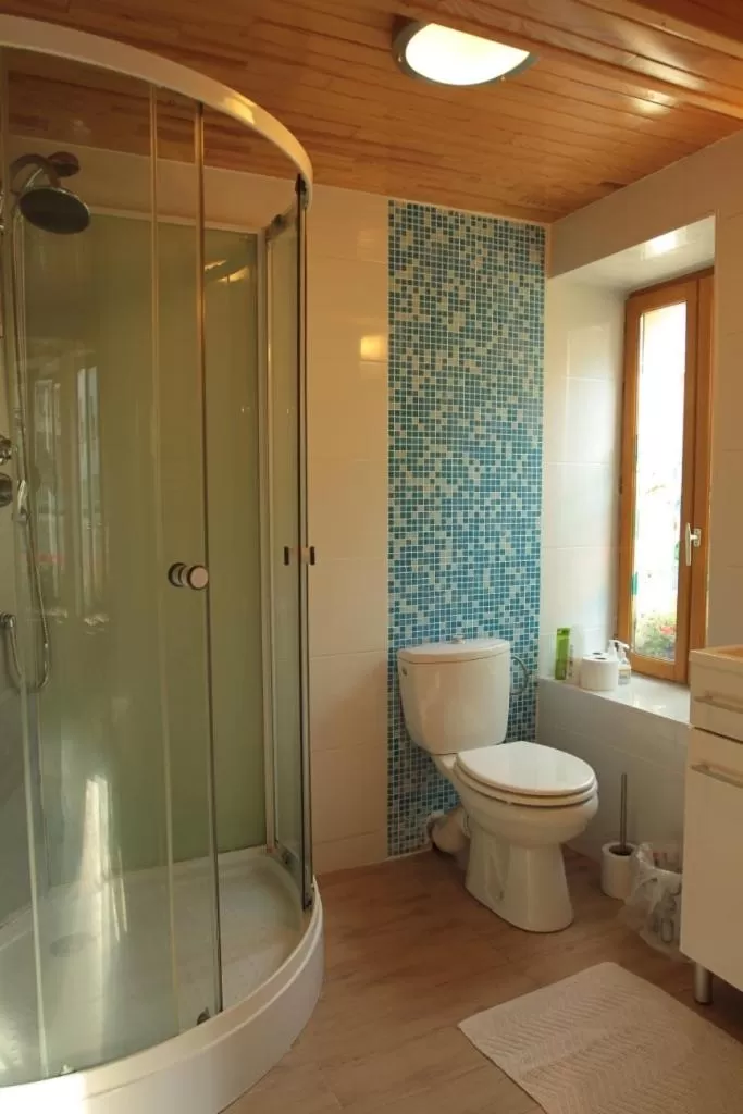 Shower in Golden Lion