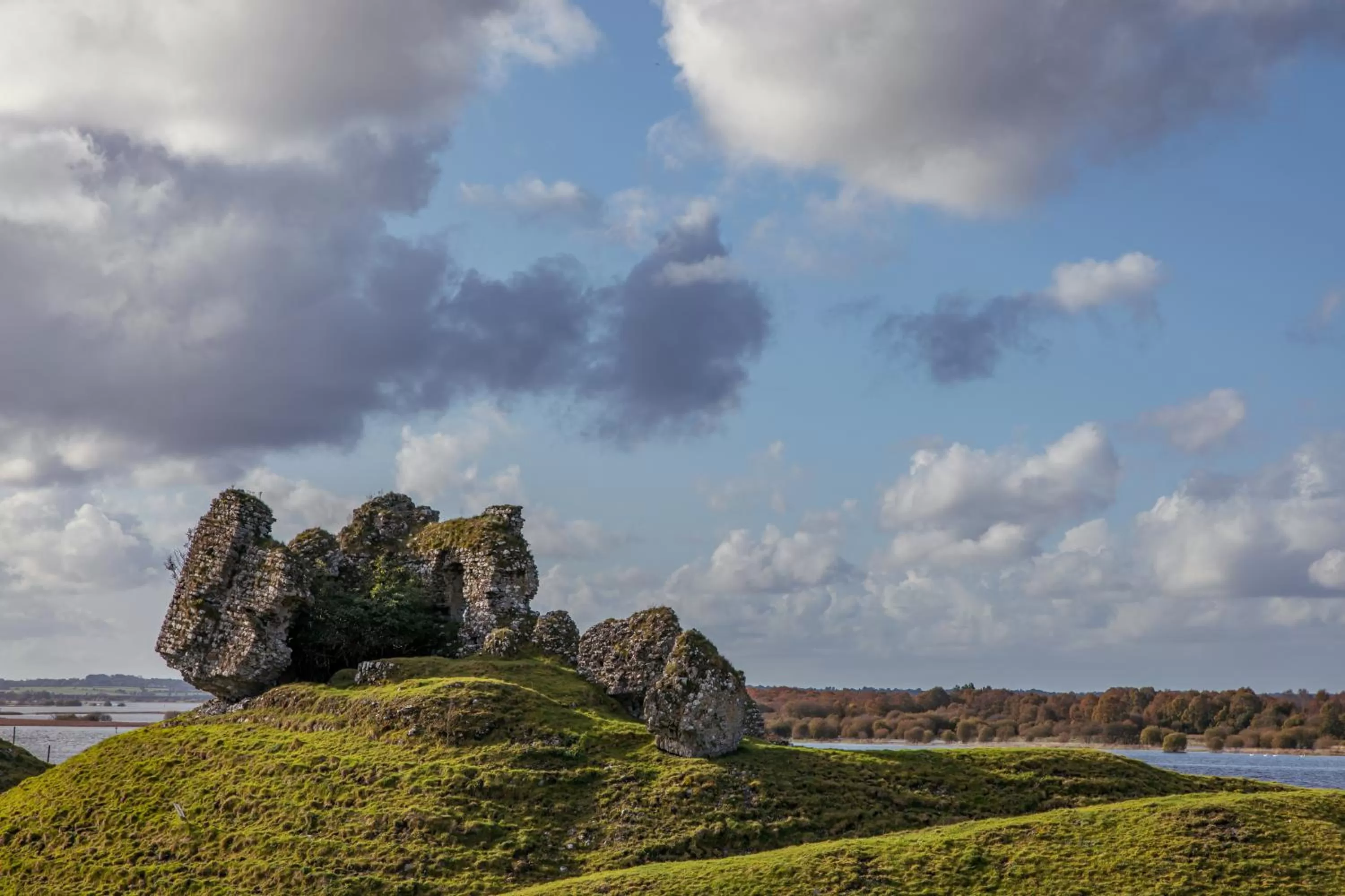 Natural landscape in Tullamore Court Hotel