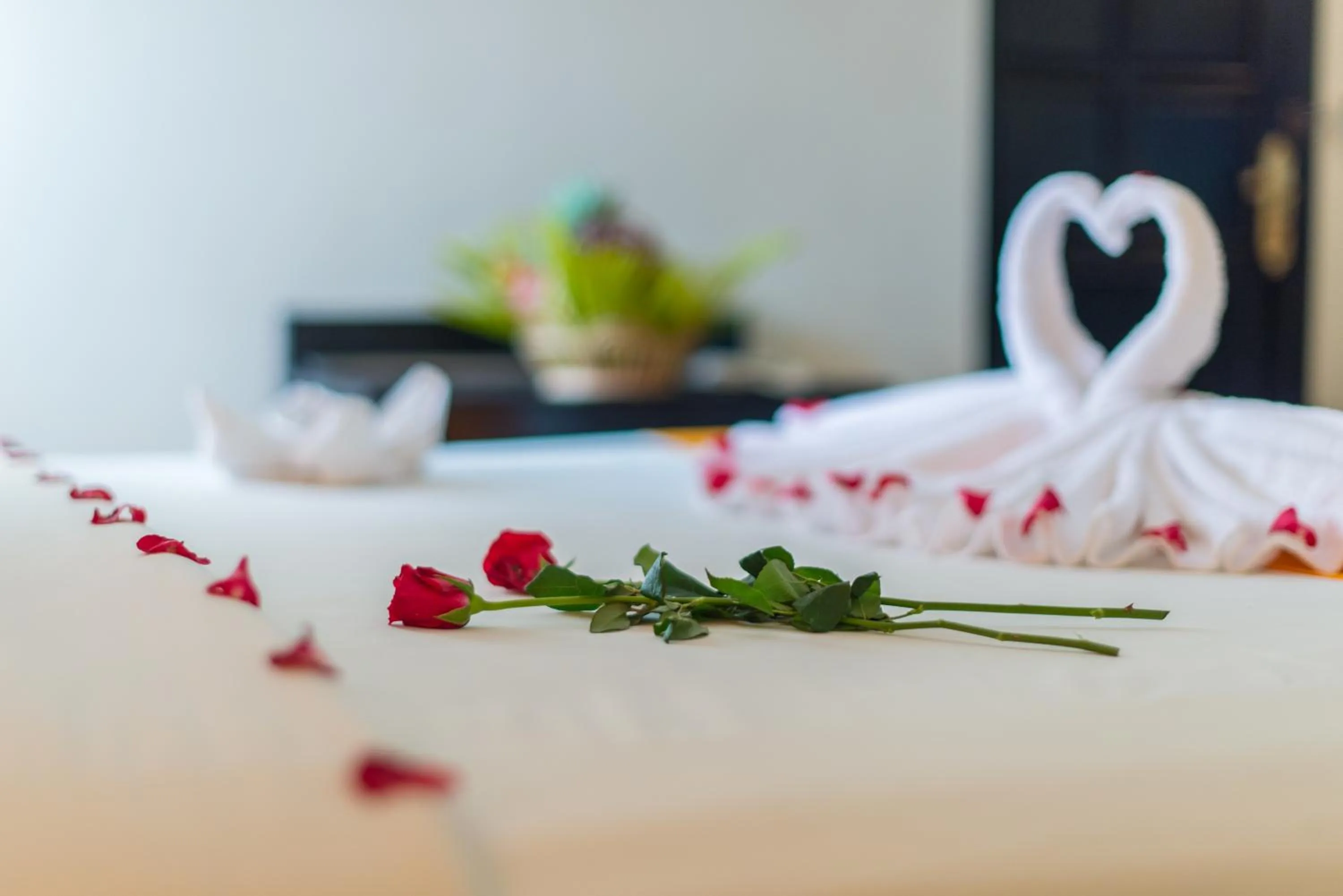 Decorative detail in JK Resident