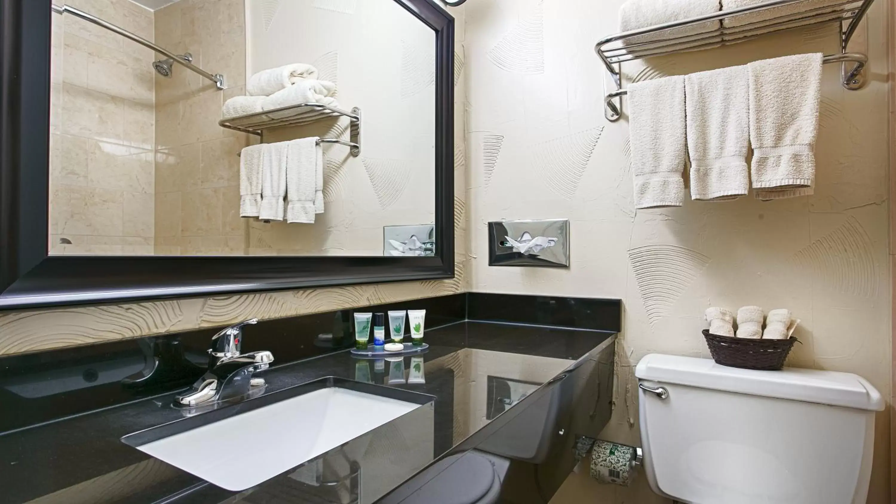 Toilet, Bathroom in Motel 6 Dallas TX Downtown