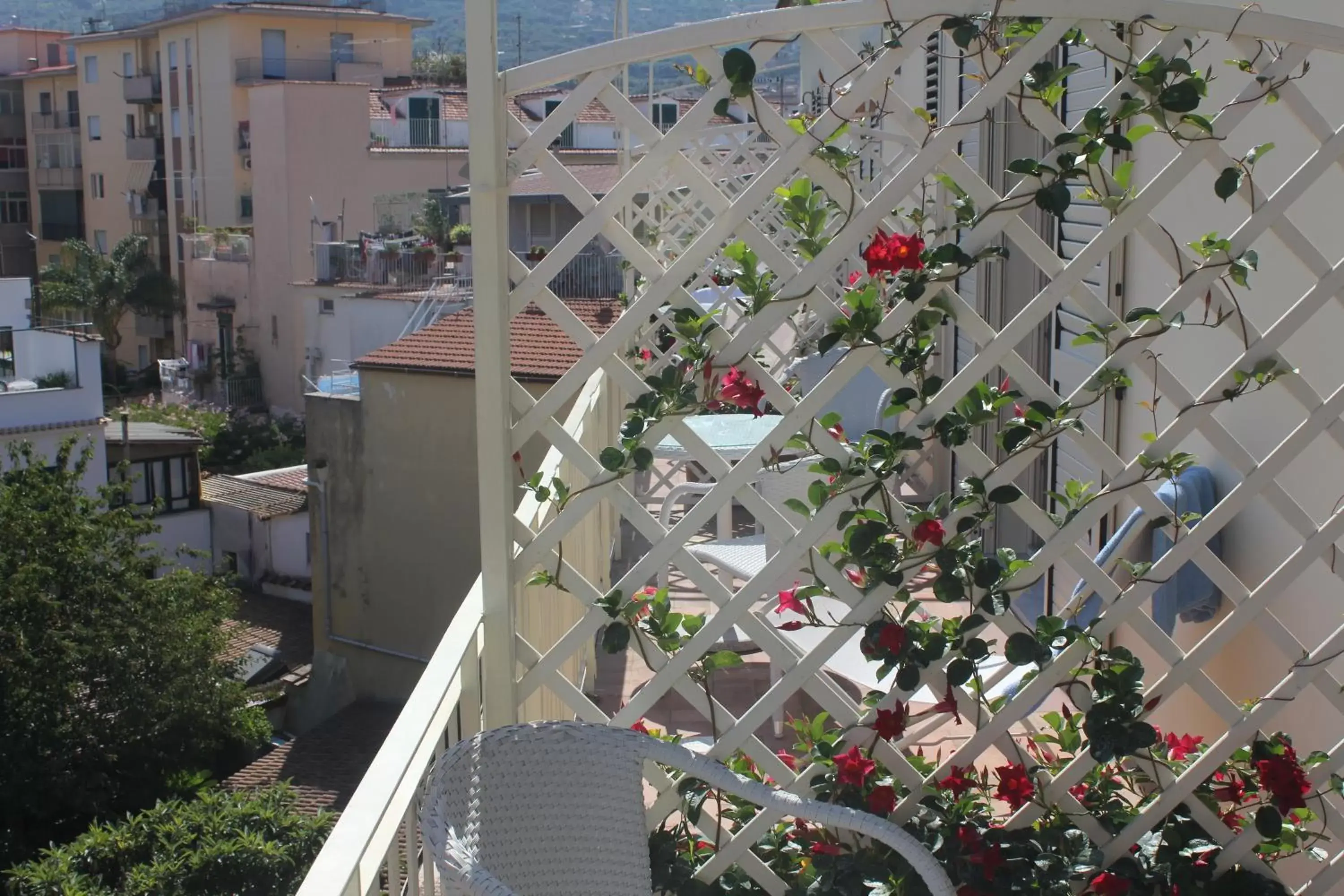 Balcony/Terrace in B&B Il Giglio Bianco