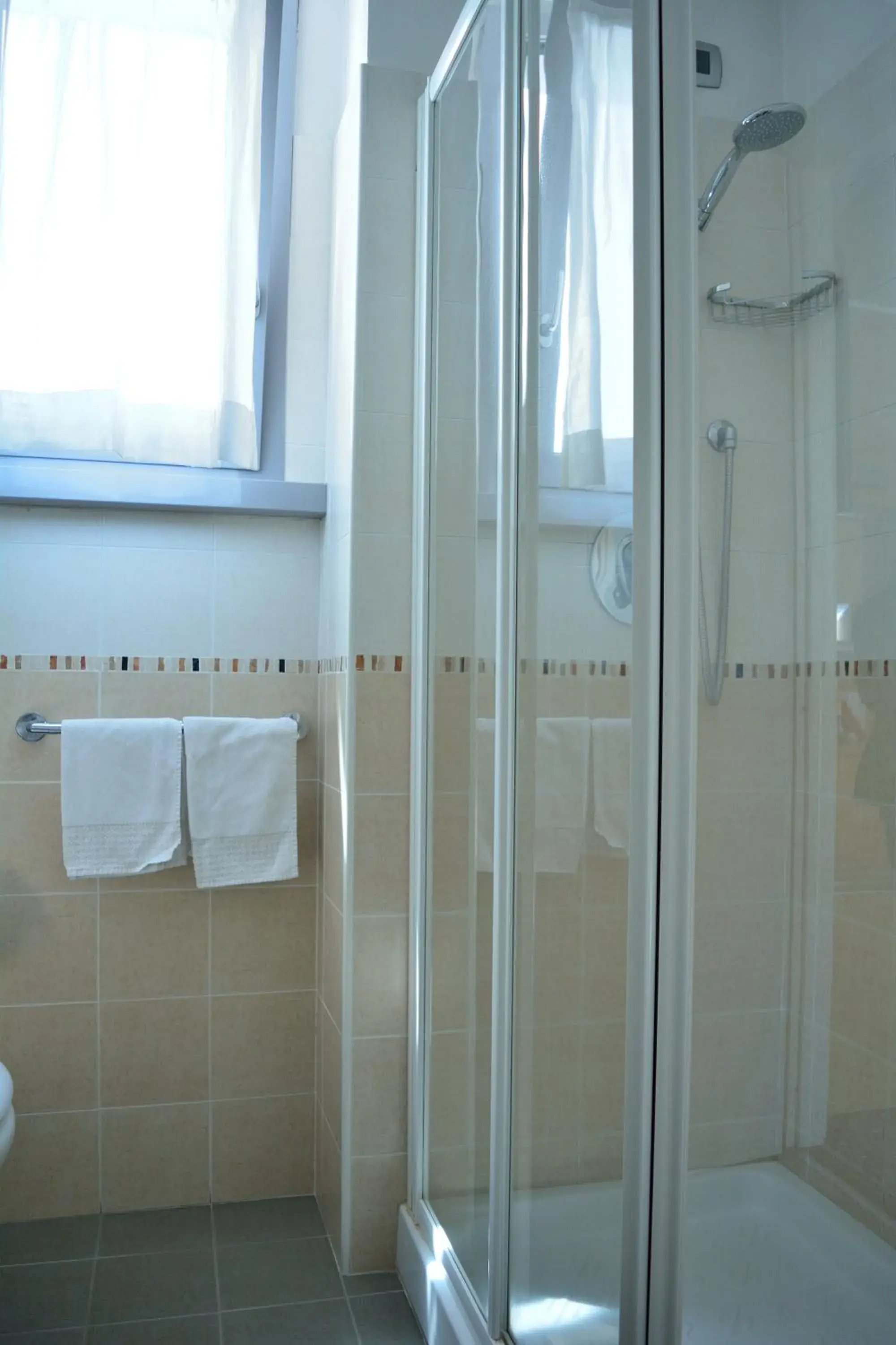 Shower, Bathroom in Hotel Susa