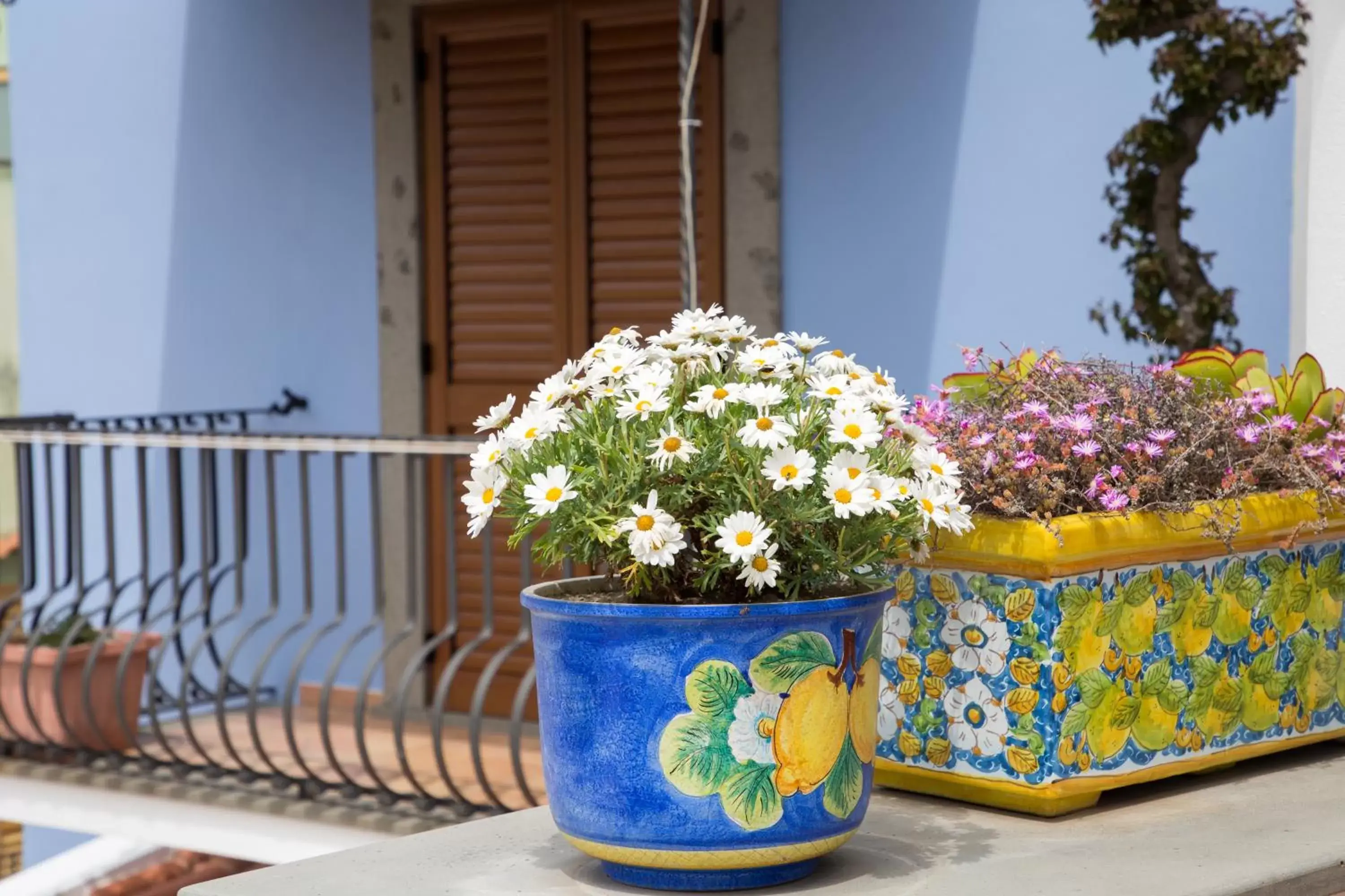 Balcony/Terrace in Diana Brown B&B Affittacamere