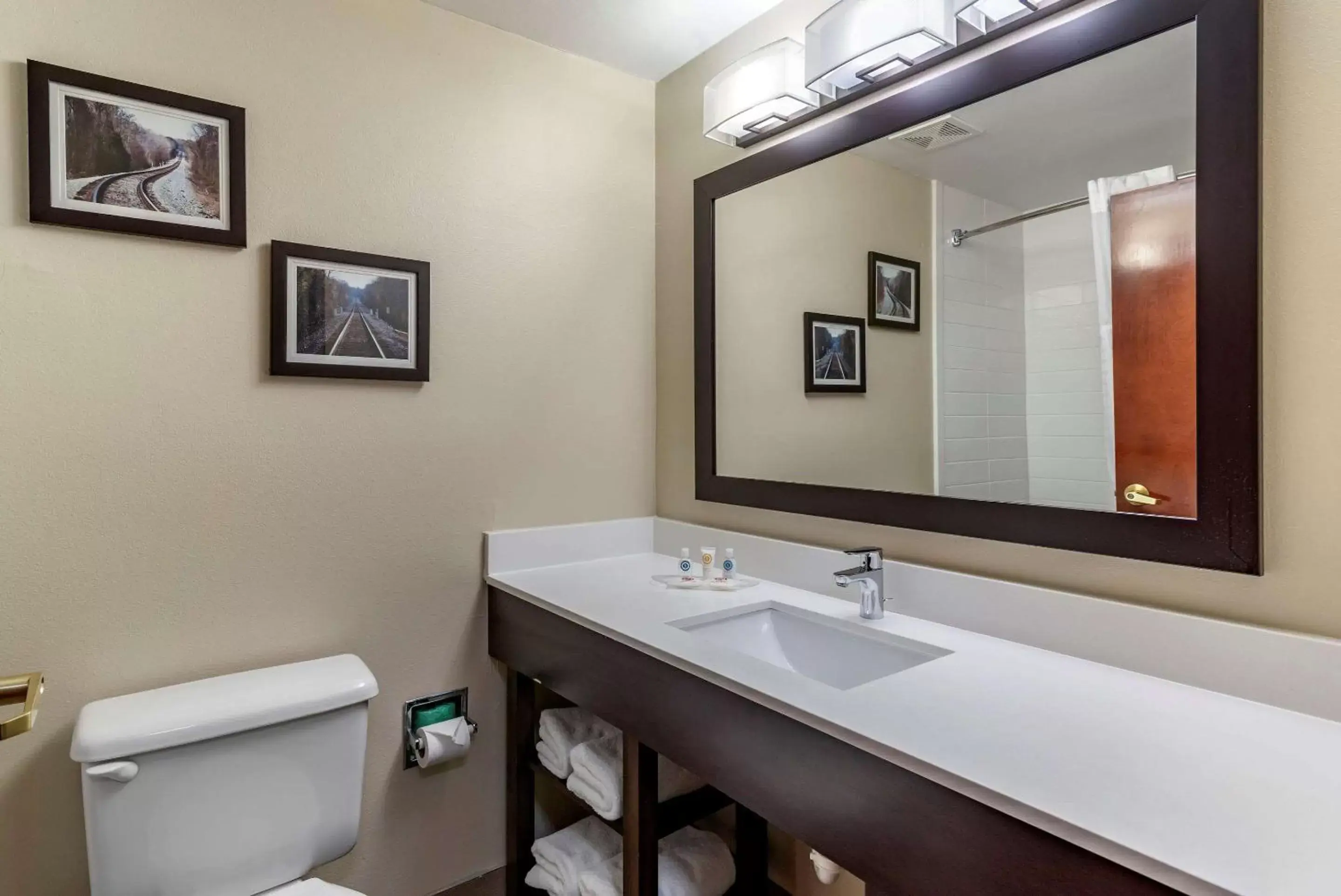 Bathroom in Comfort Suites near Robins Air Force Base
