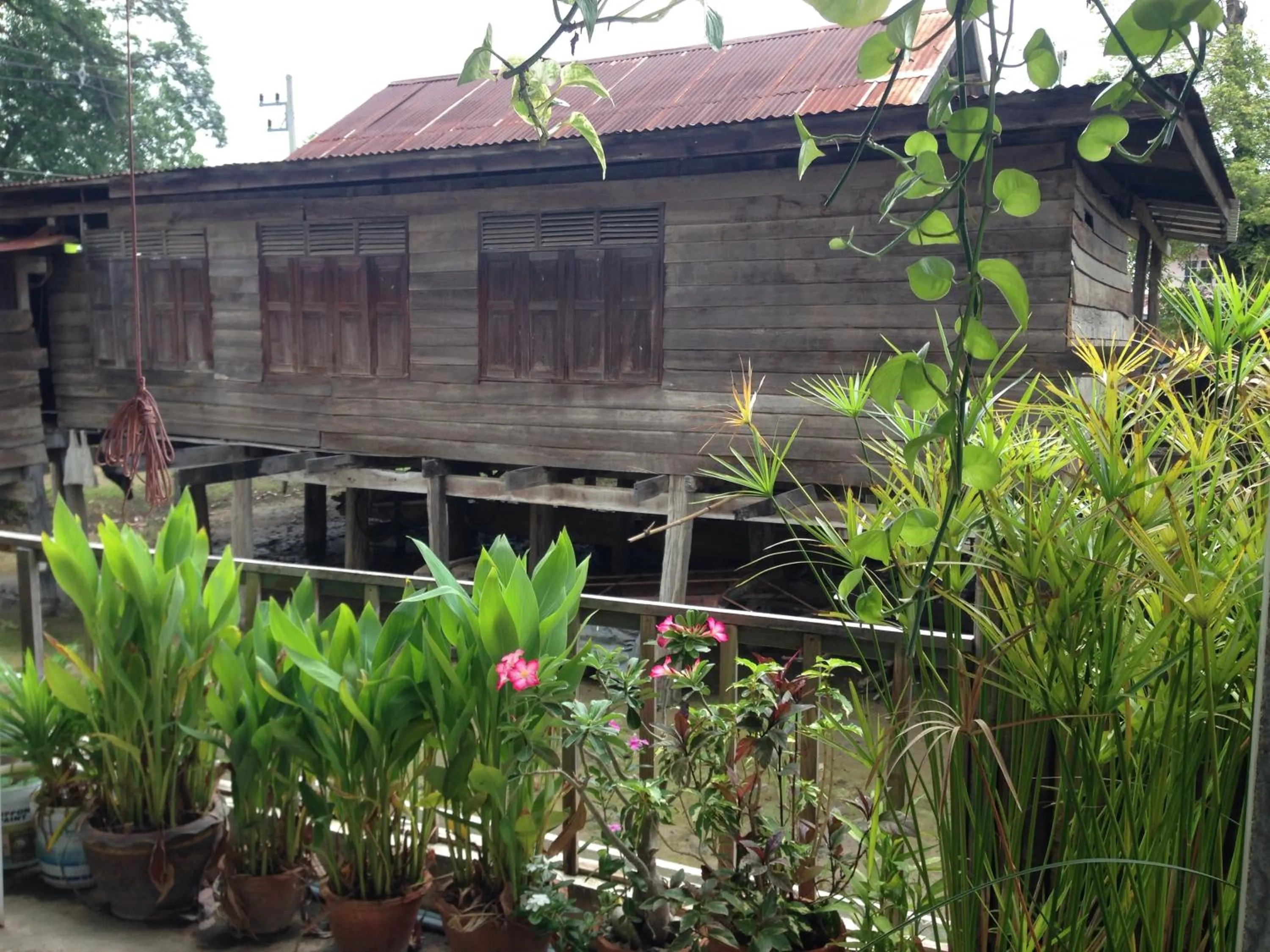View (from property/room) in OldTown Boutique House Sukhothai