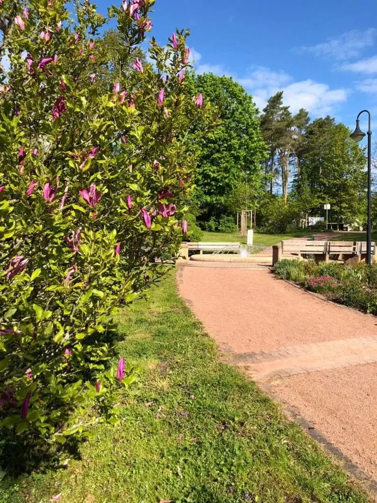 Neighbourhood, Garden in Hotel zur Köppe