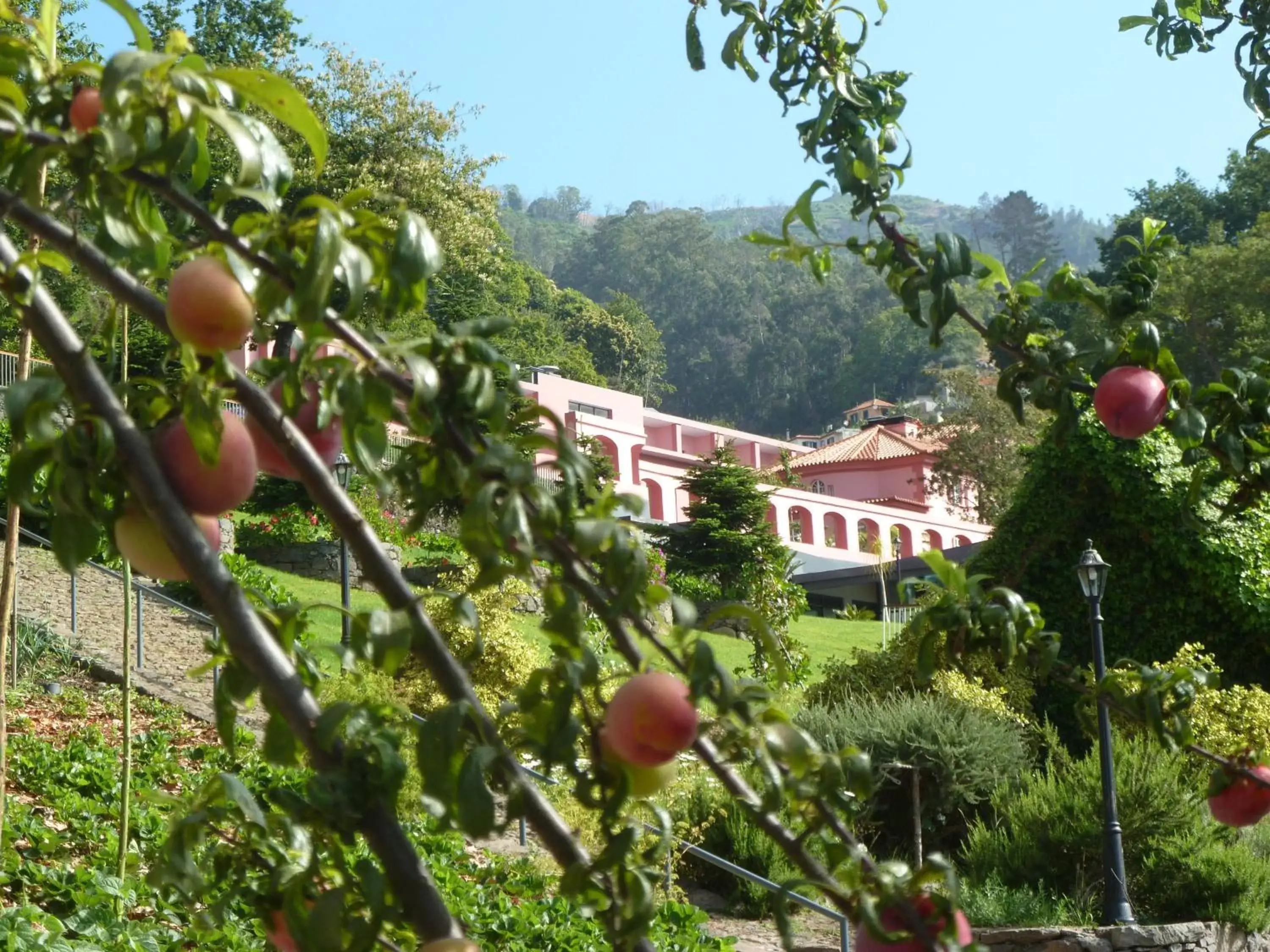 Facade/entrance, Garden in BIO Hotel - Hotel Quinta da Serra