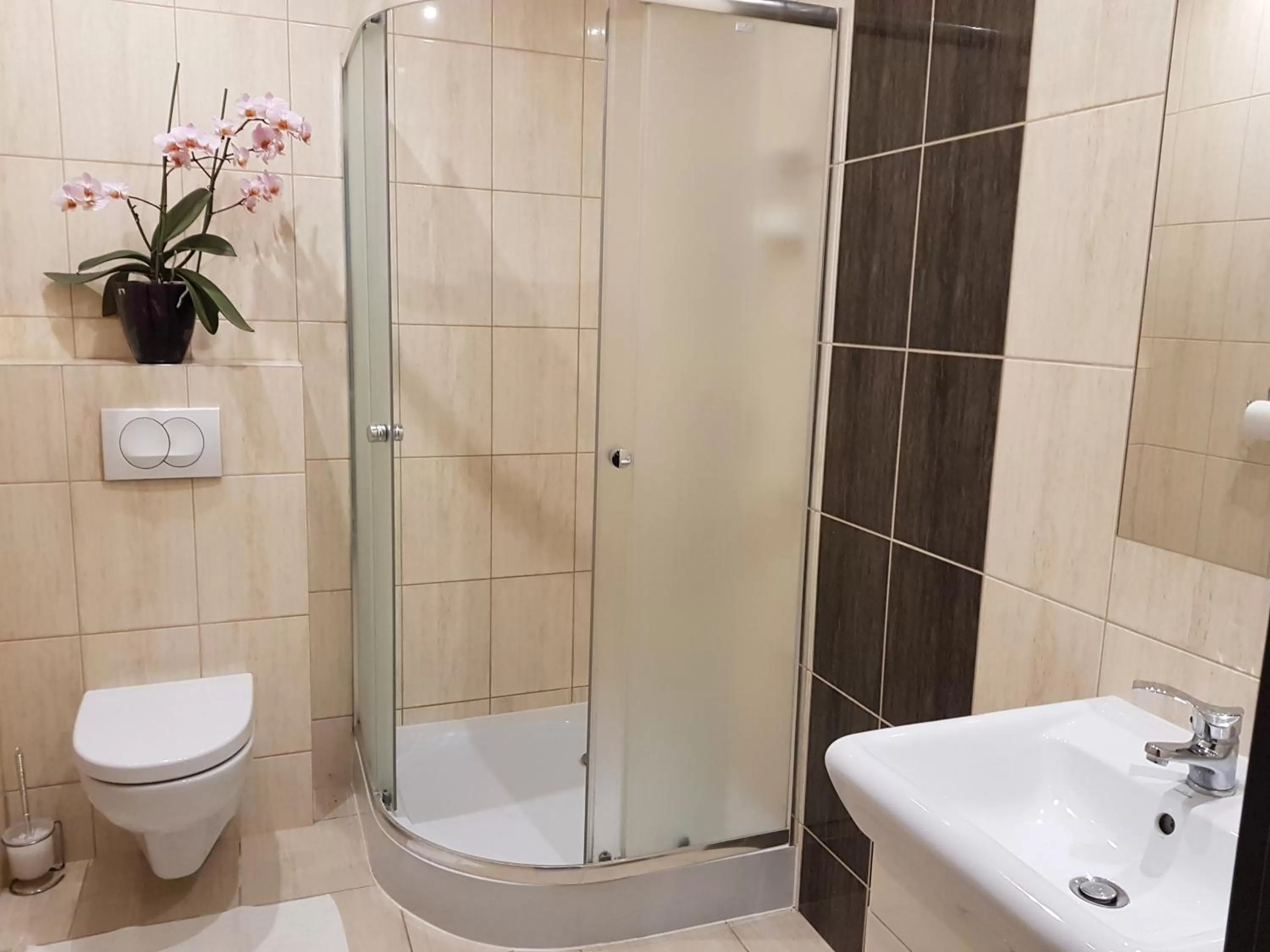 Shower in Pokoje Bakos Radocza