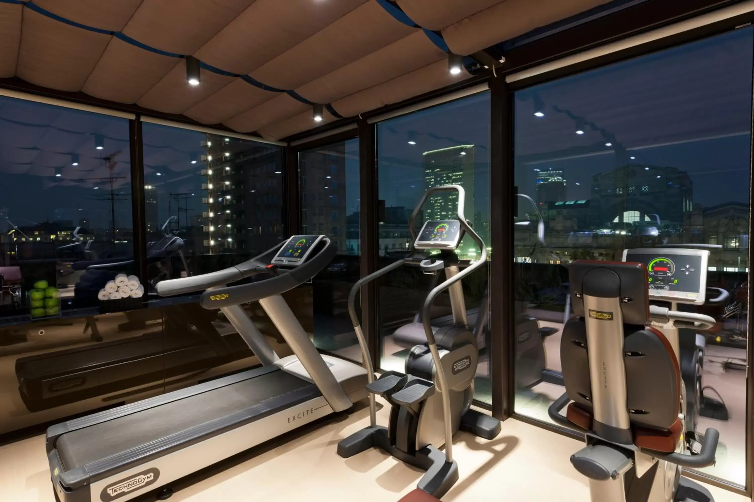 Fitness centre/facilities, Fitness Center/Facilities in Starhotels Echo