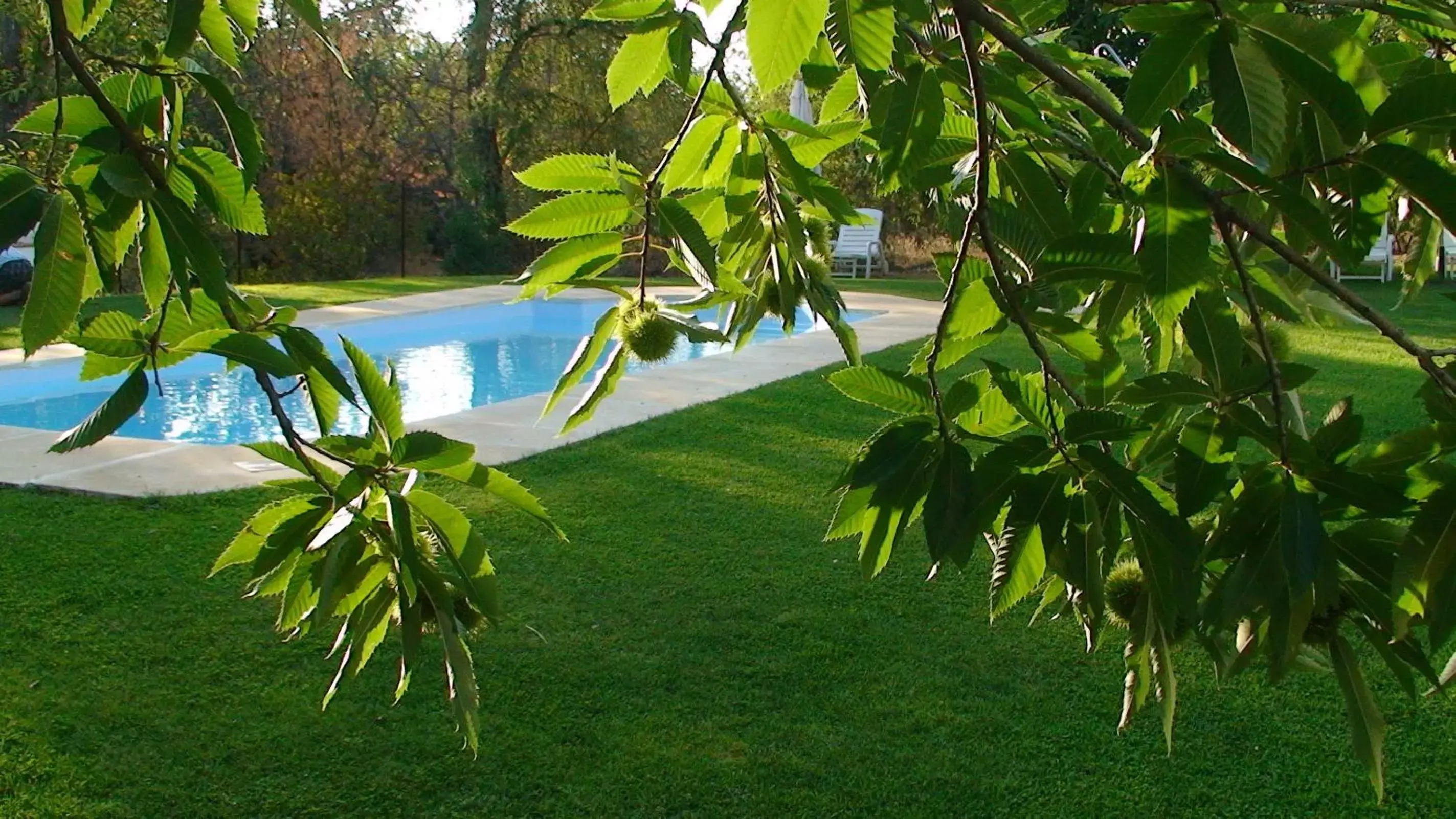 Day, Swimming Pool in Hotel Apartamento Rural Finca La Media Legua