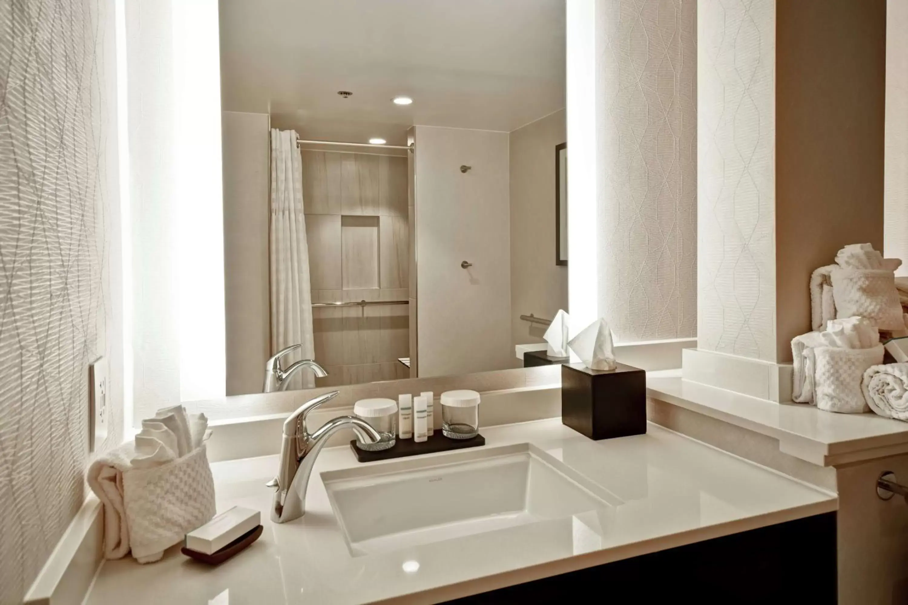 Bathroom in Embassy Suites by Hilton Raleigh Durham Research Triangle