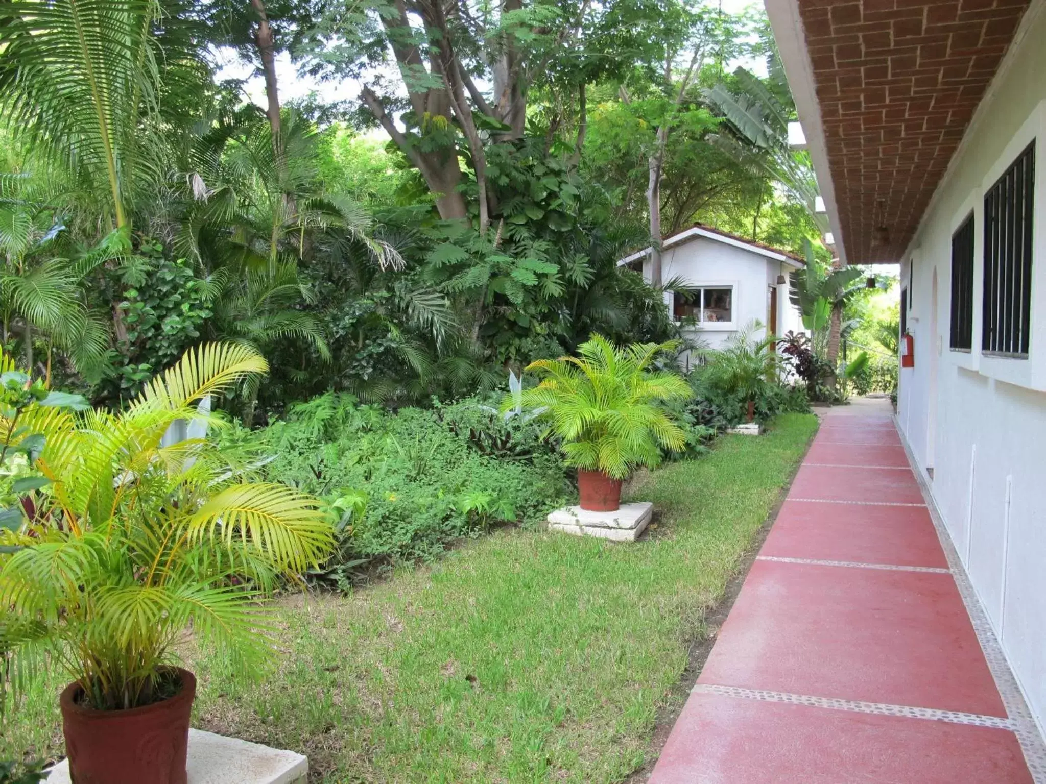 Natural landscape, Garden in Villas El Morro