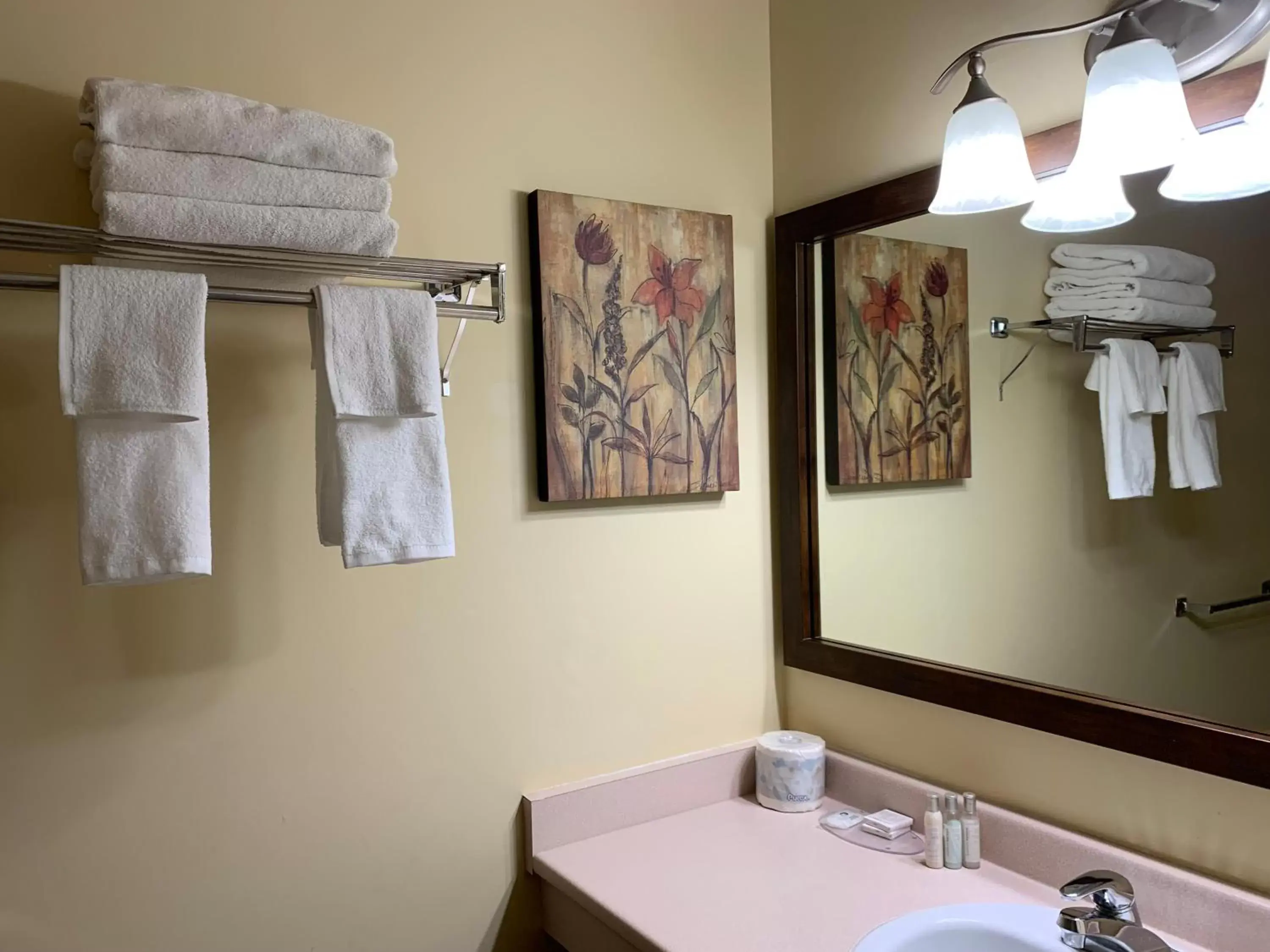Bathroom in MountainView Hotel Merritt