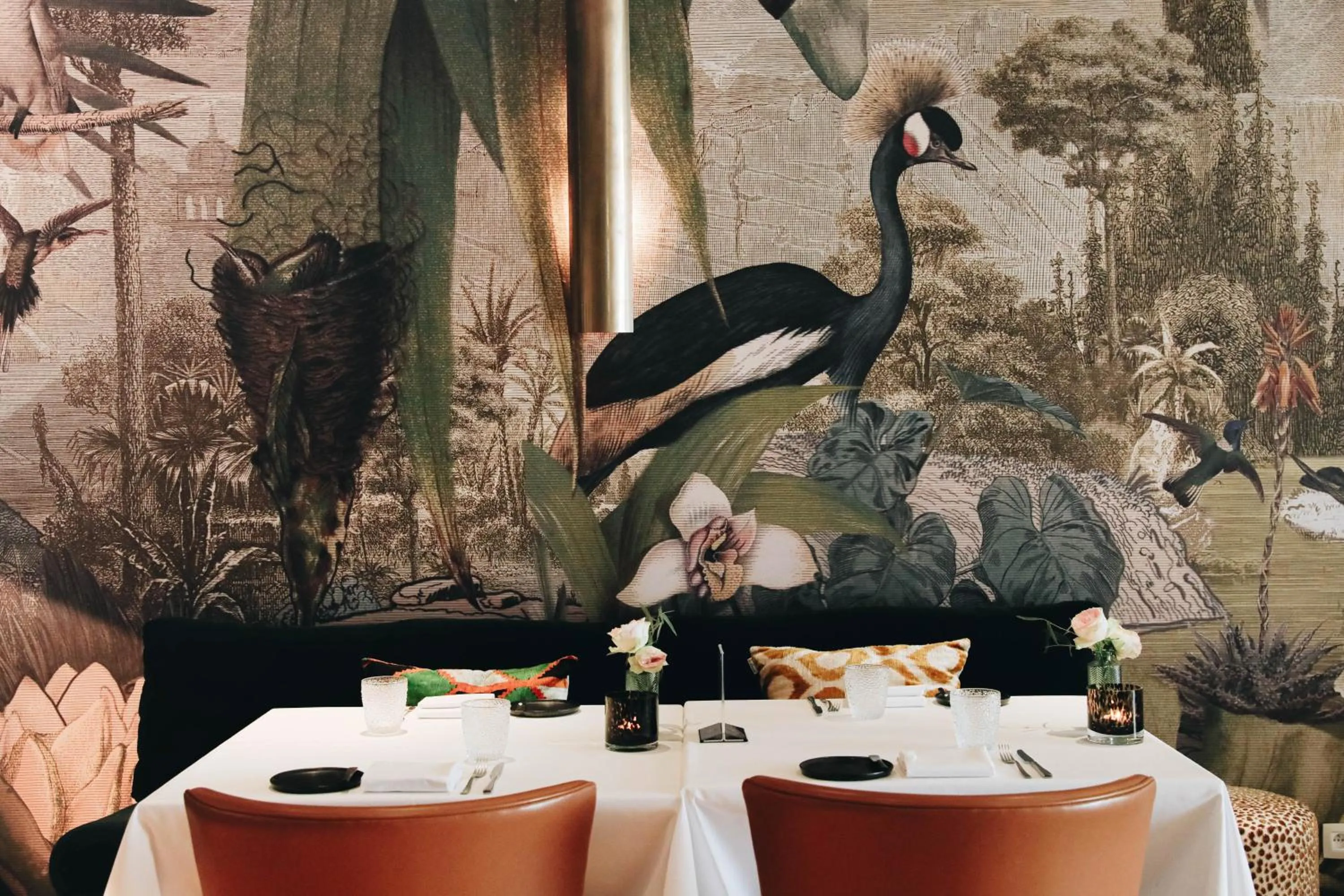 Restaurant/places to eat in Hotel FRANQ