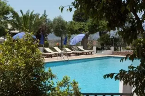 Swimming Pool in Hotel Alcadima